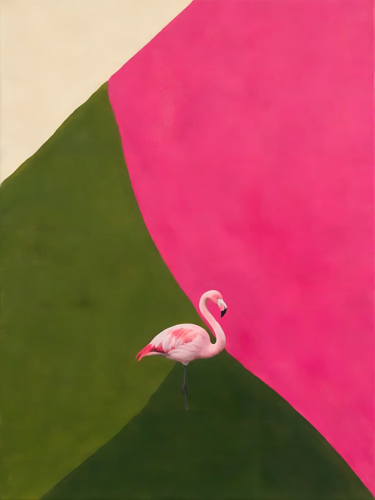 Flamingo op roze en groene vlakken