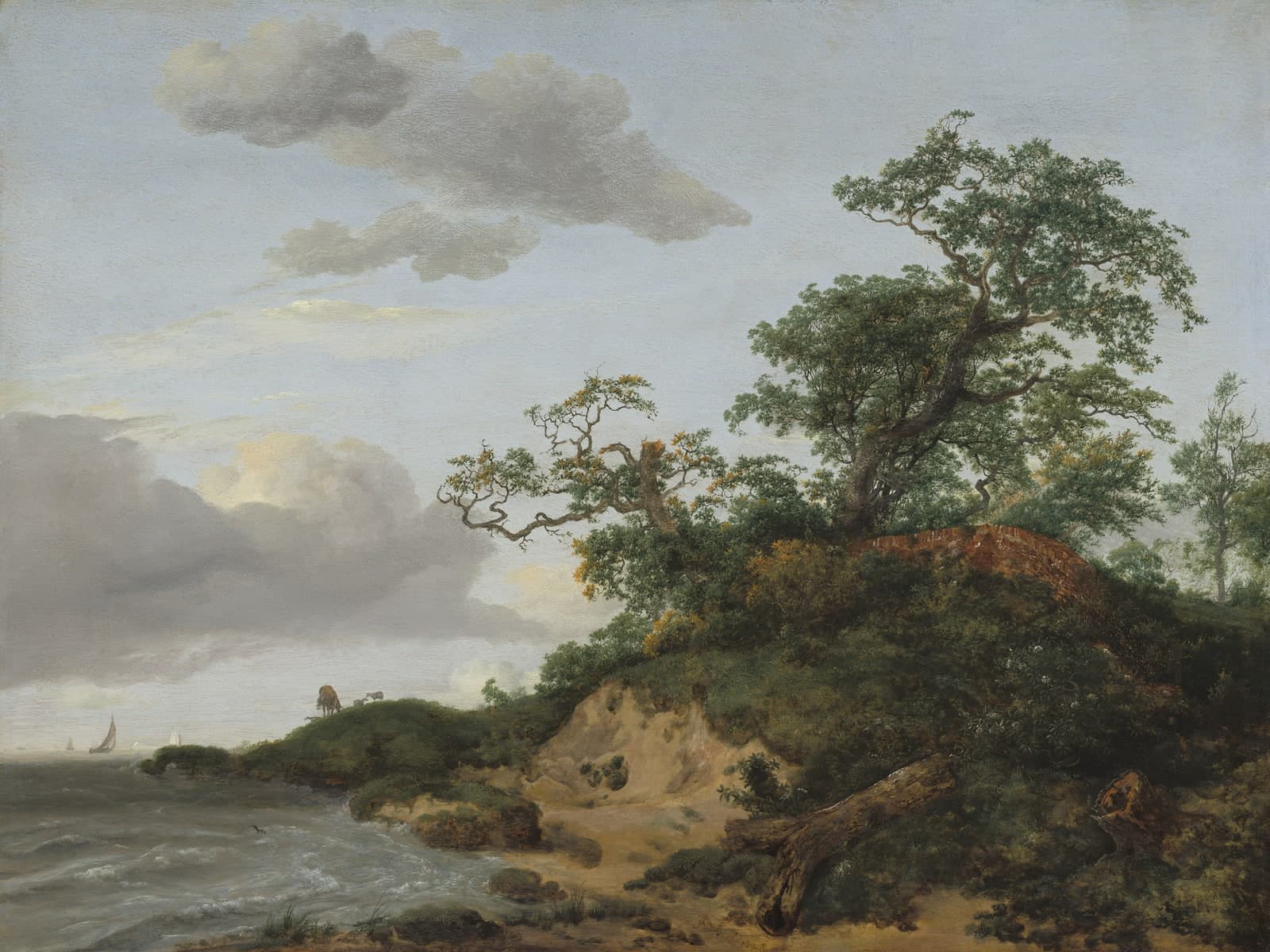 Duinen aan zee