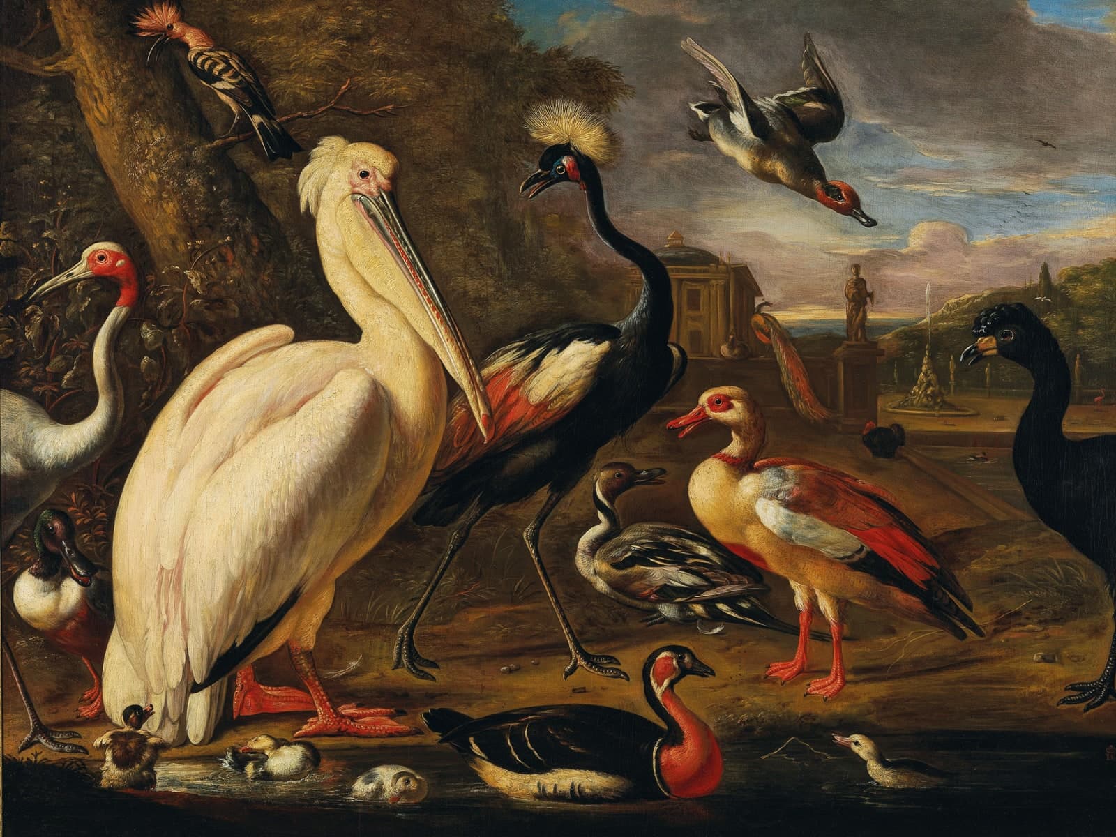 Een pelikaan en andere vogels bij het water