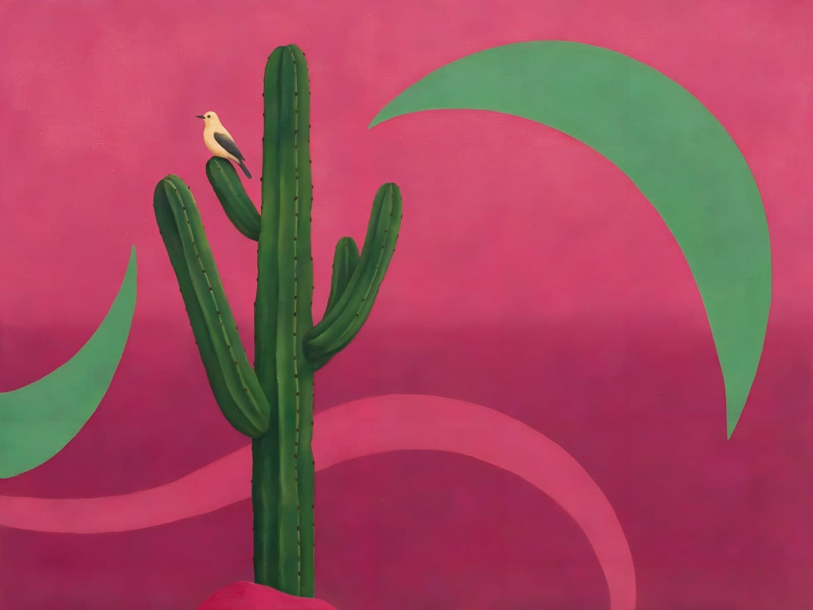 Groene cactus met vogeltje op roze