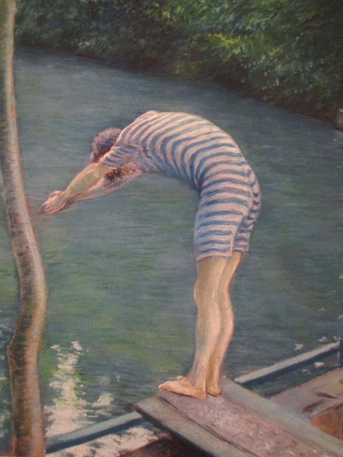 De zwemmer