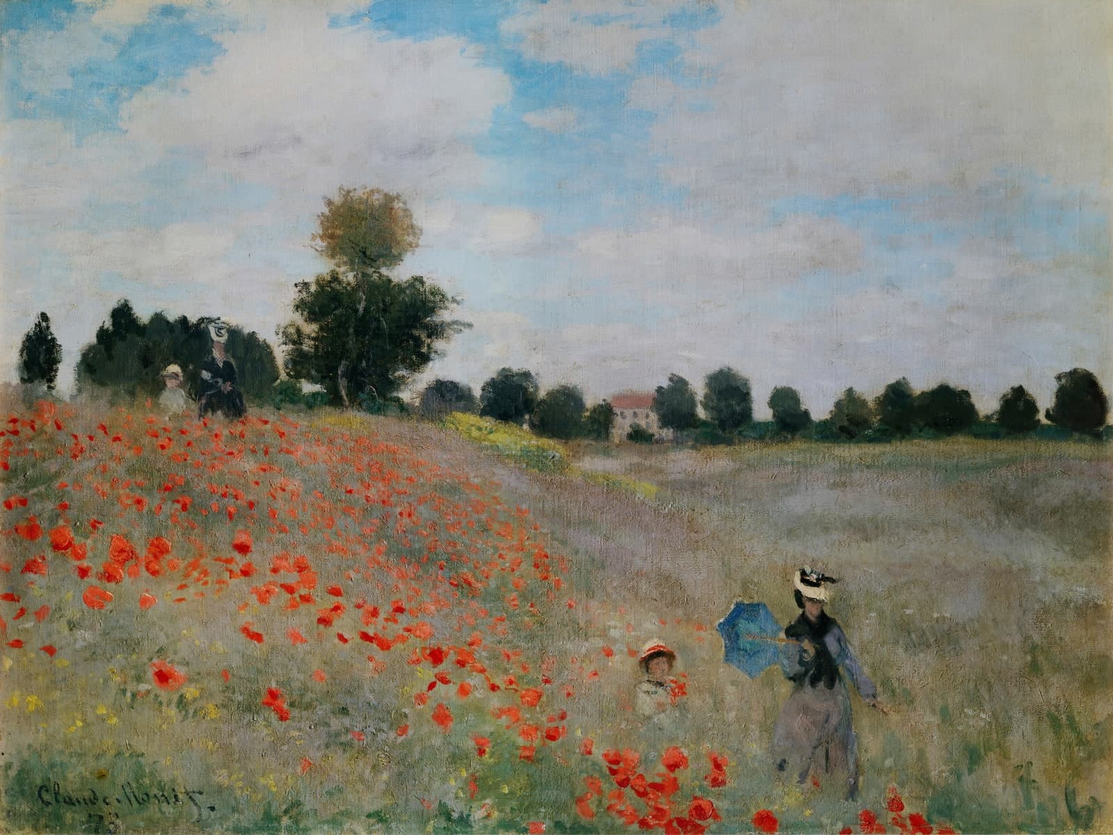 De klaprozen