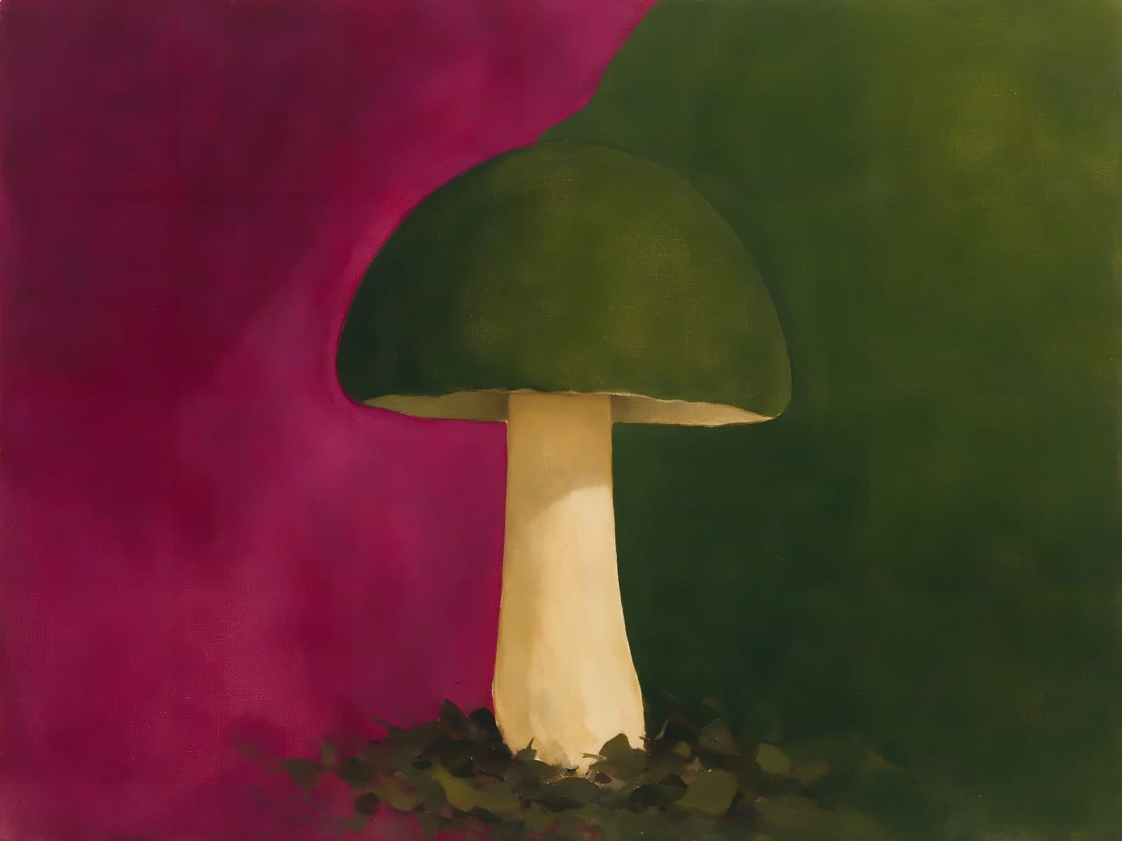 Witte paddenstoel voor magenta en olijfgroen