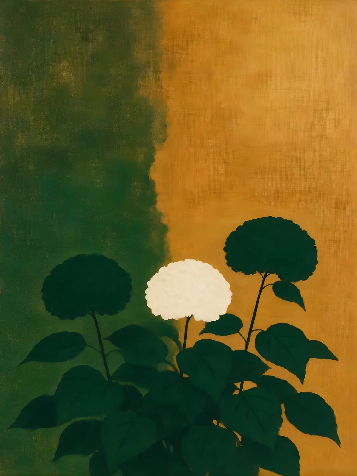 Witte hortensia voor groen en okergeel