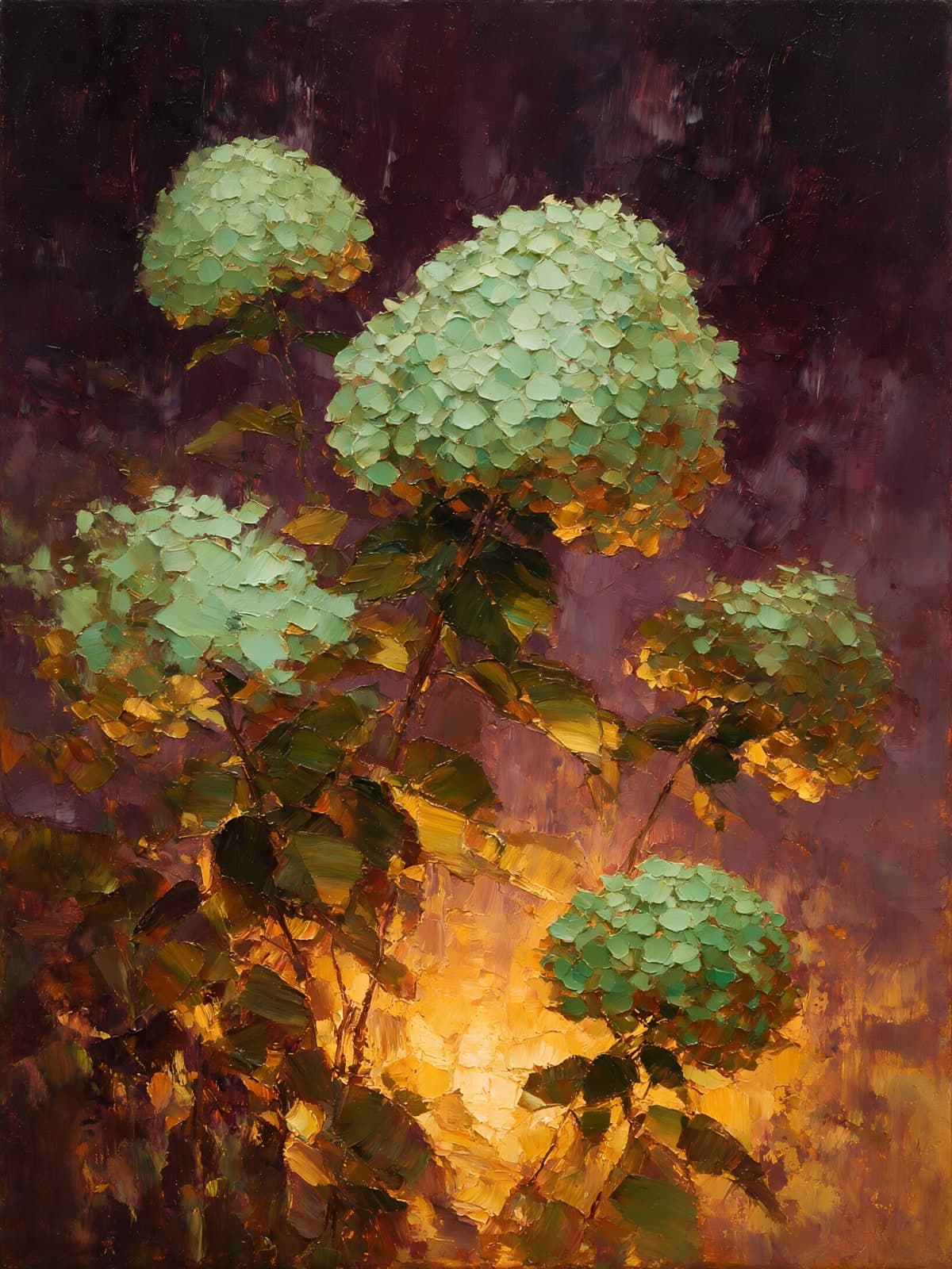 Lichtgroene hortensia's in avondgloed