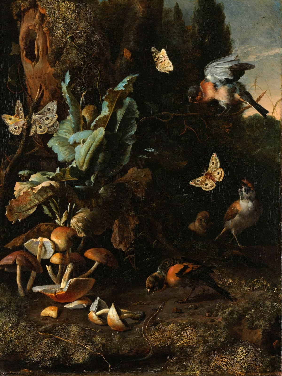 Dieren en planten
