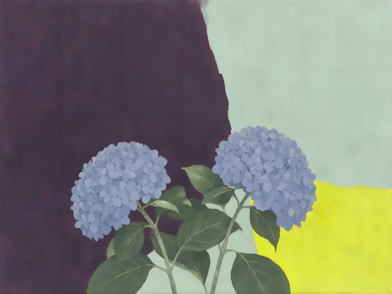 Blauwe hortensia's voor paarse en groene vlakken