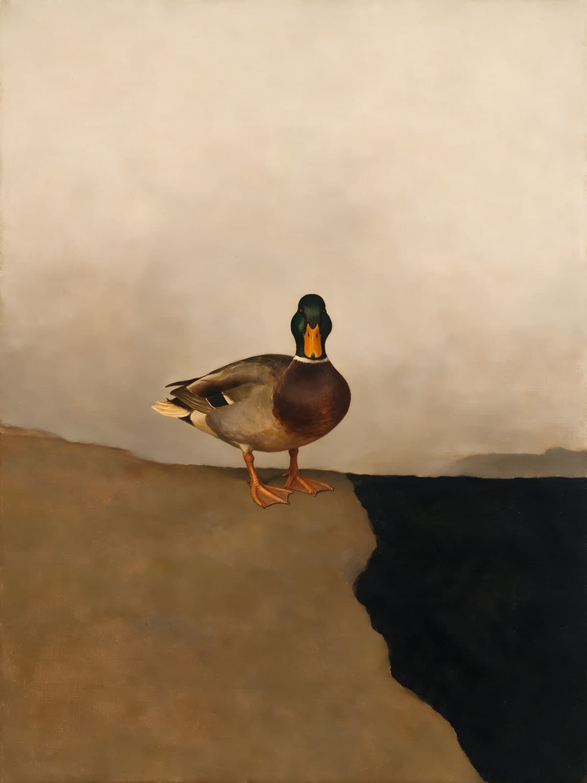 Wilde eend op een klifrand