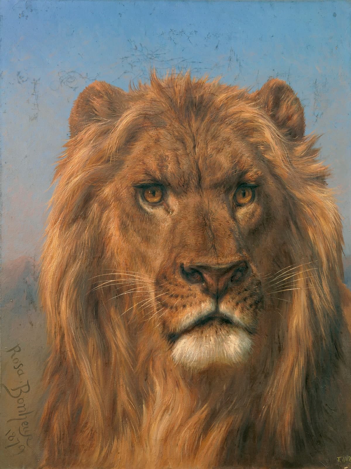 Portret van een leeuw
