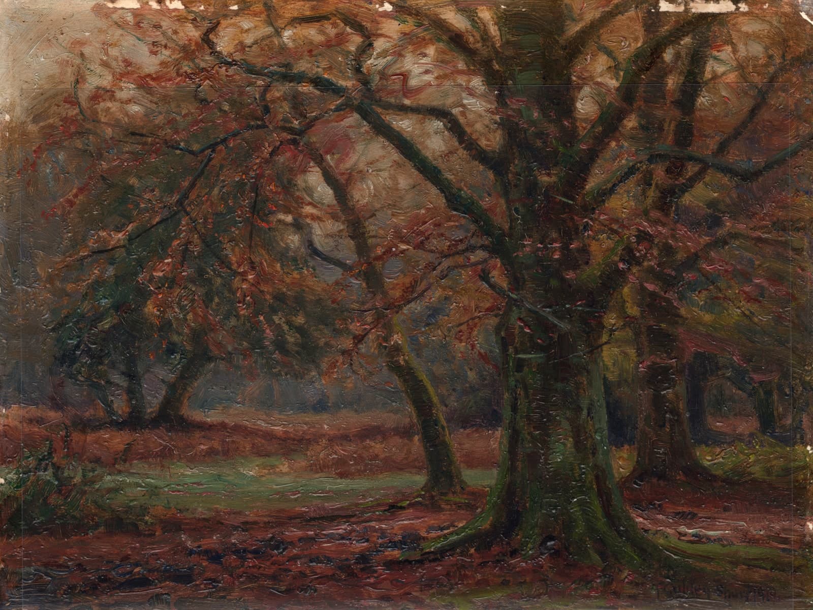 New Forest in de herfst