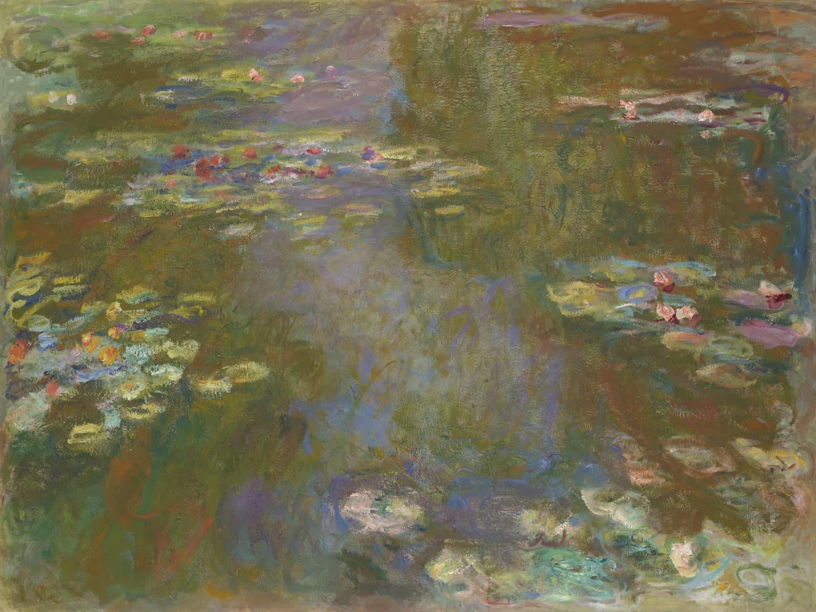 Waterlelievijver zonder horizon met weerspiegeld licht