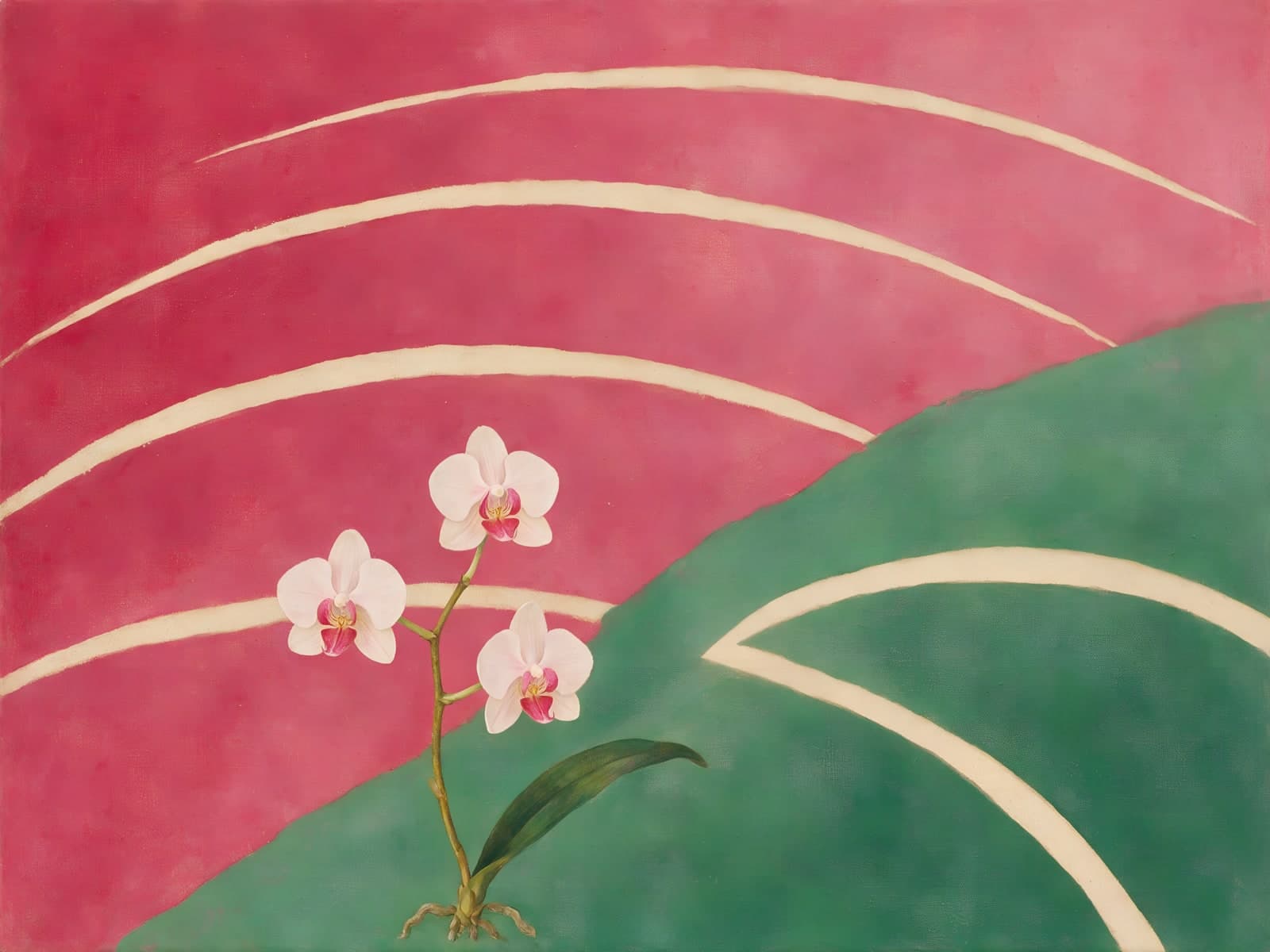 Witte orchidee voor groene heuvel en bogen