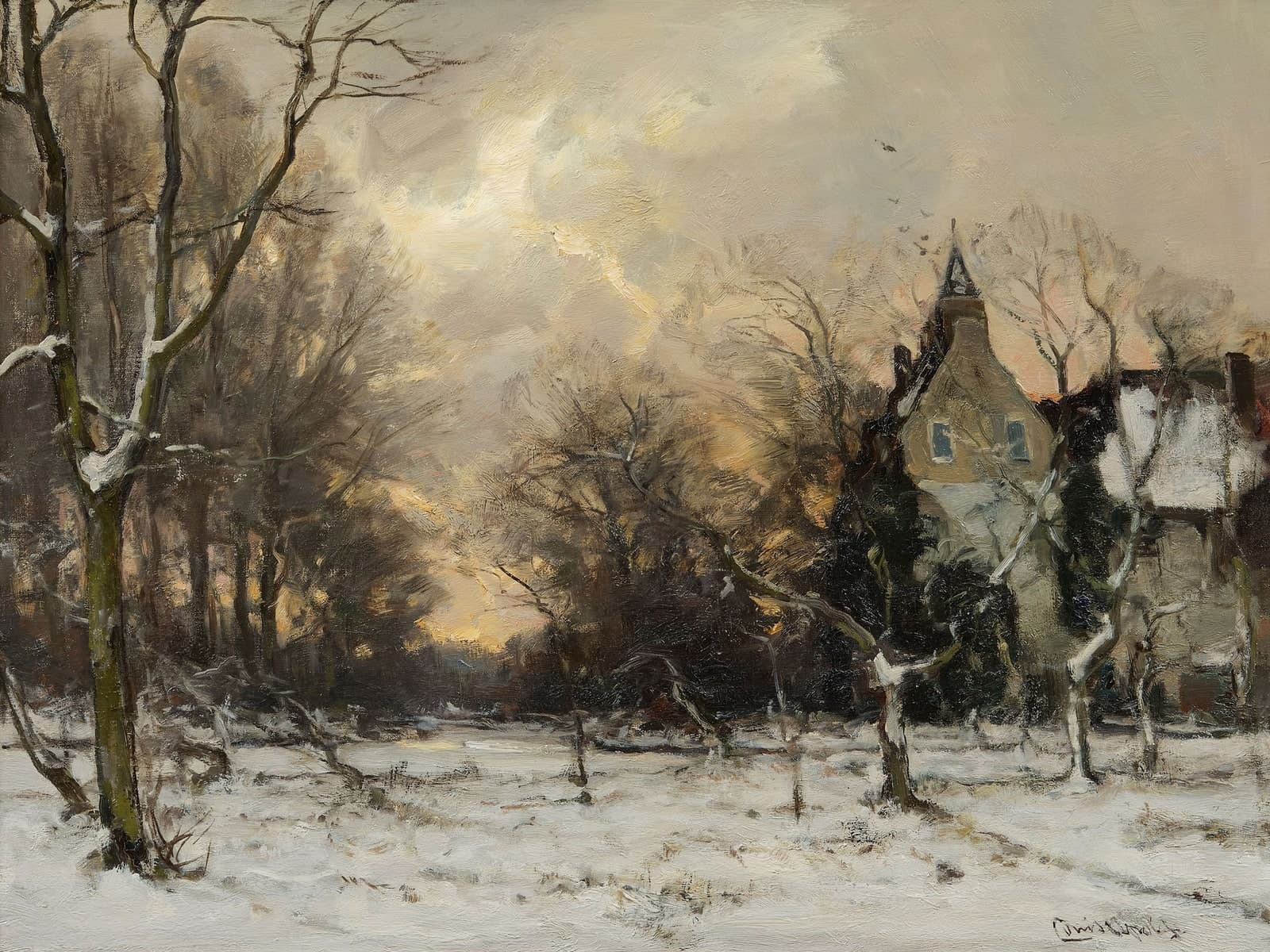 Winter aan de rand van het dorp
