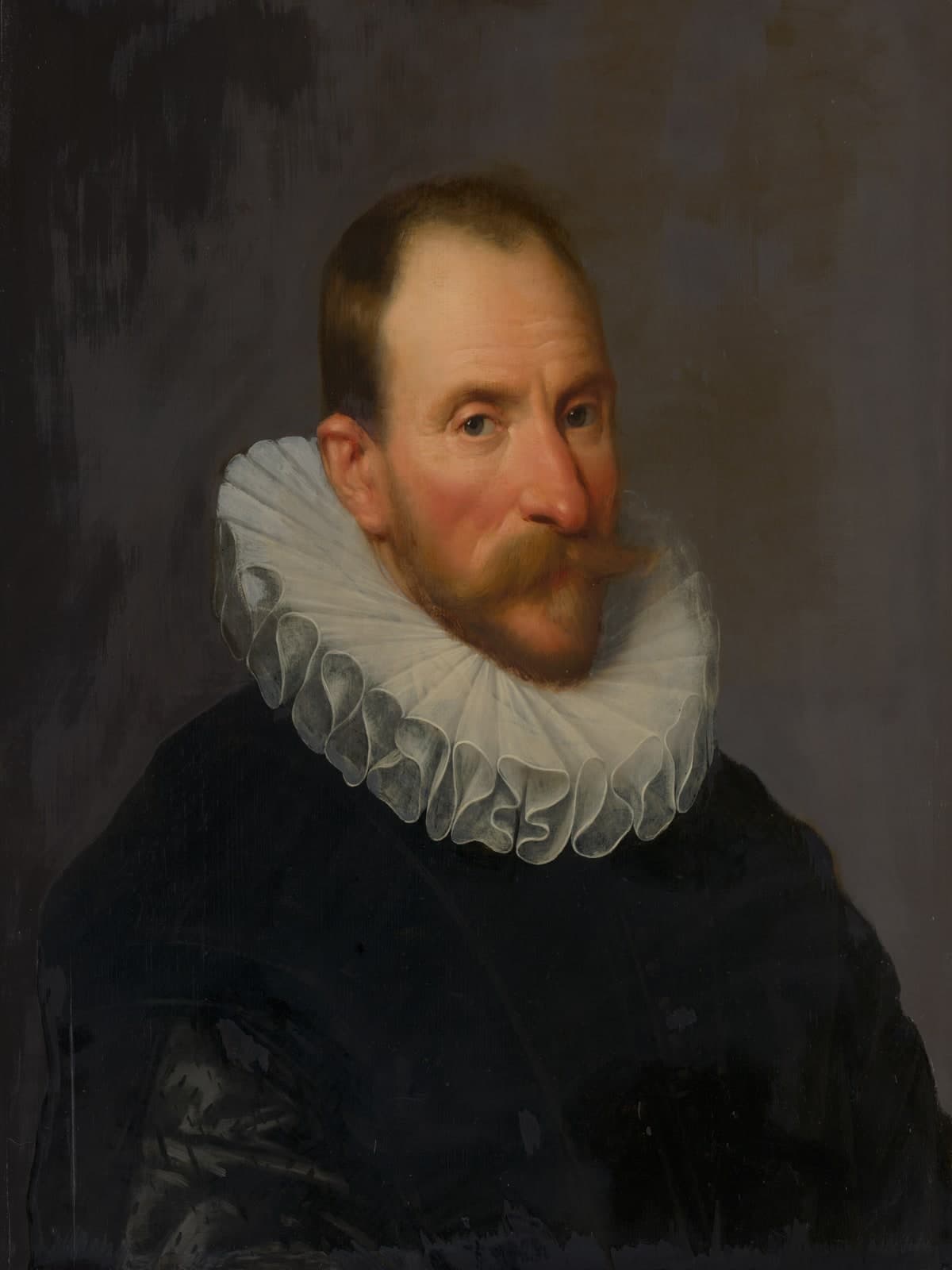 Portret van Cornelis van Aerssen