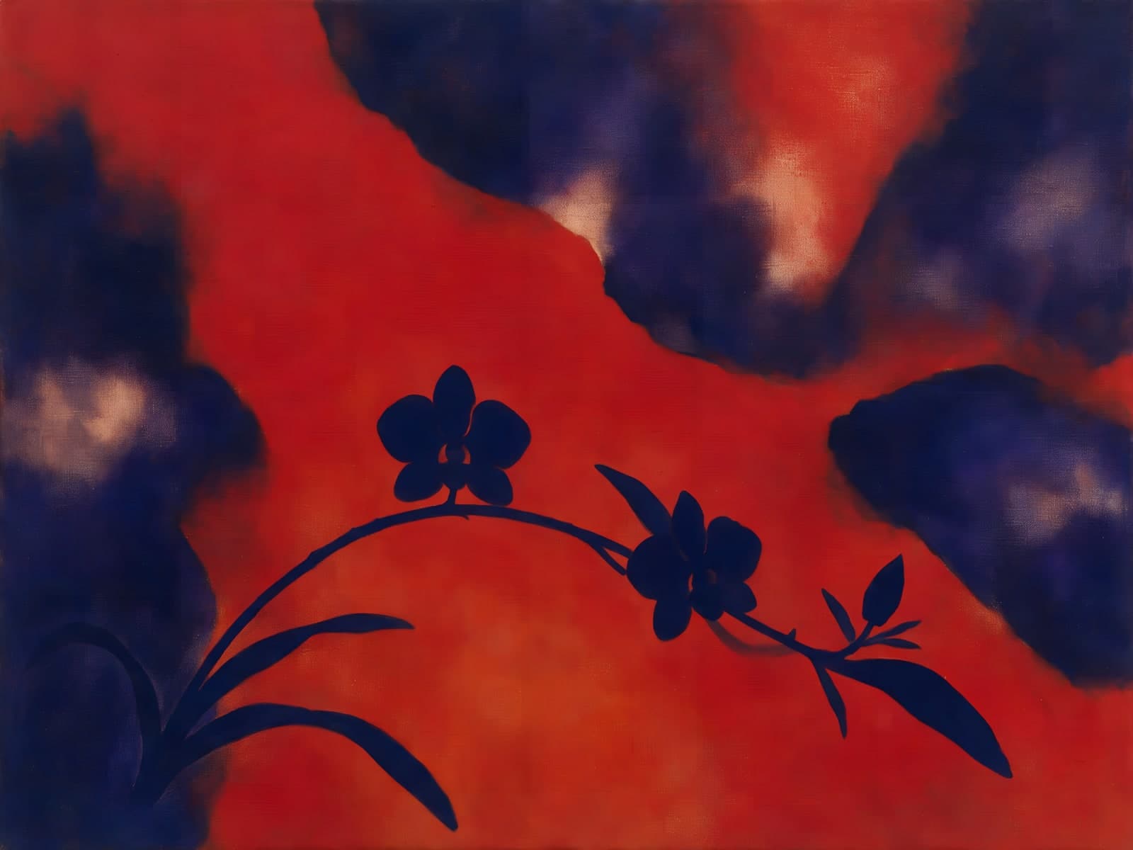 Blauwe orchideetak op rood en paars vlak