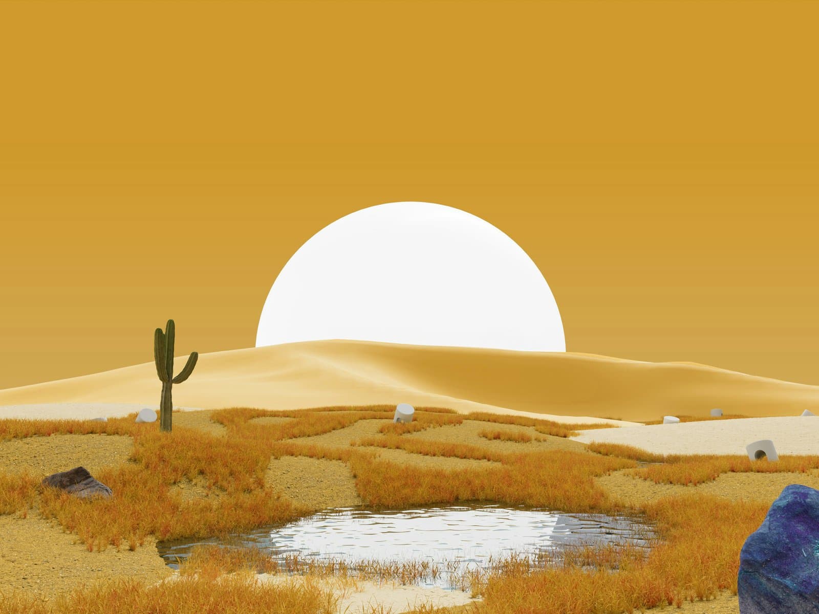 Witte zon boven woestijn met cactus