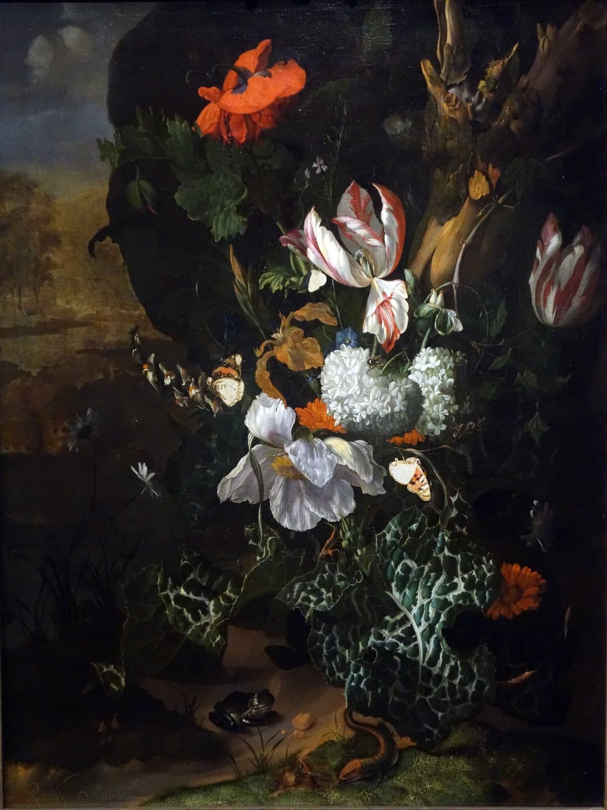 Bloemen en dieren