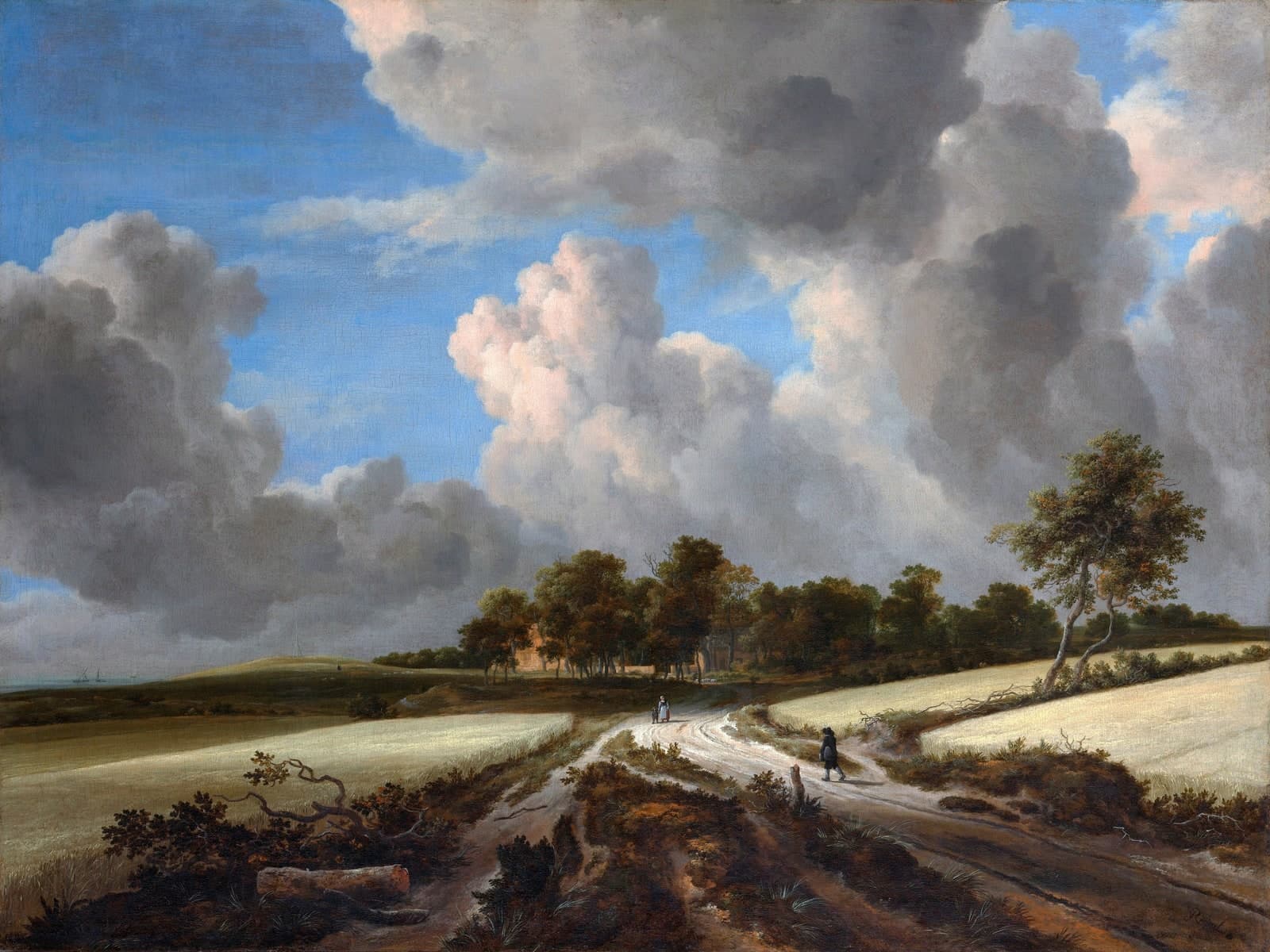 Korenvelden met een zandweg naar bomen