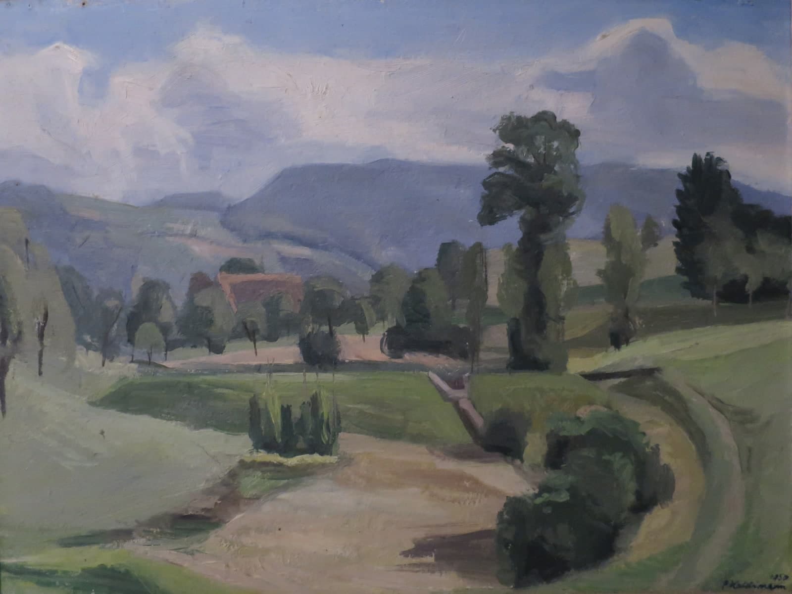 Gezicht van de Schönenberg op de Rossberg