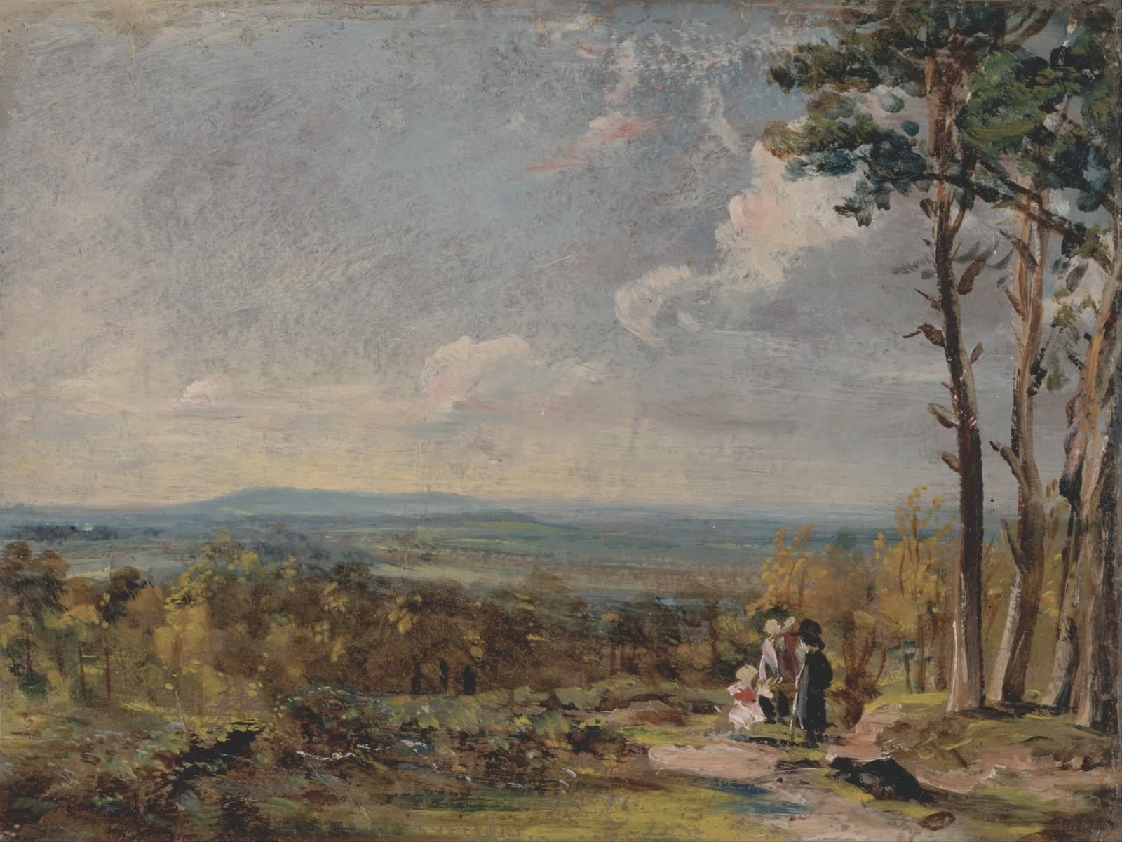 Hampstead Heath met uitzicht op Harrow