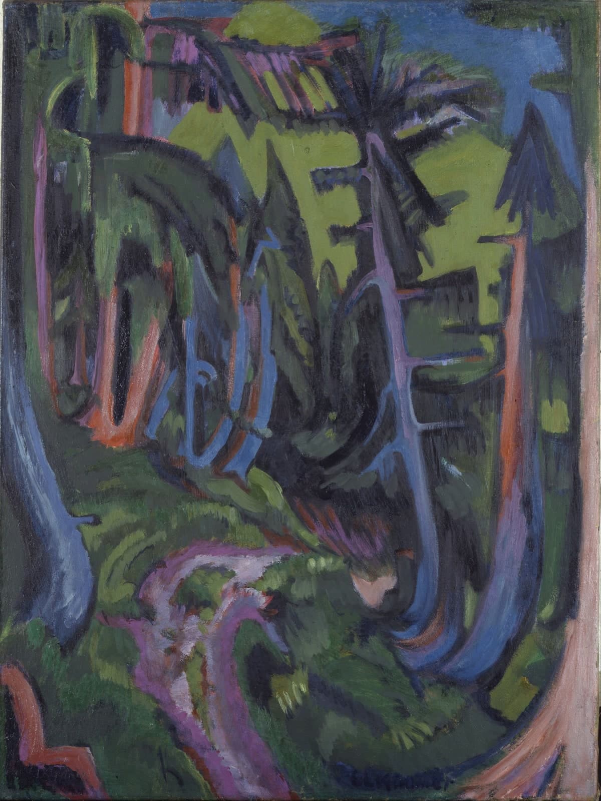 Pad in het bergbos