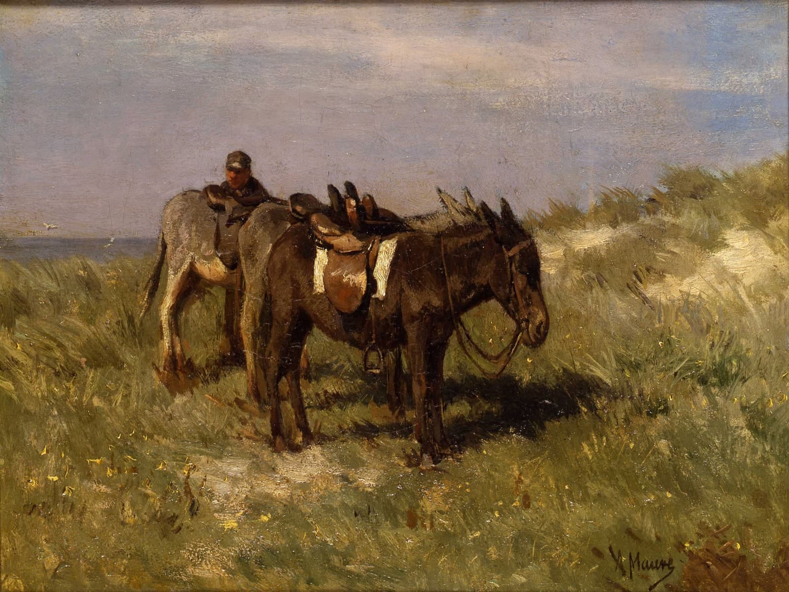 Strandezels te Katwijk
