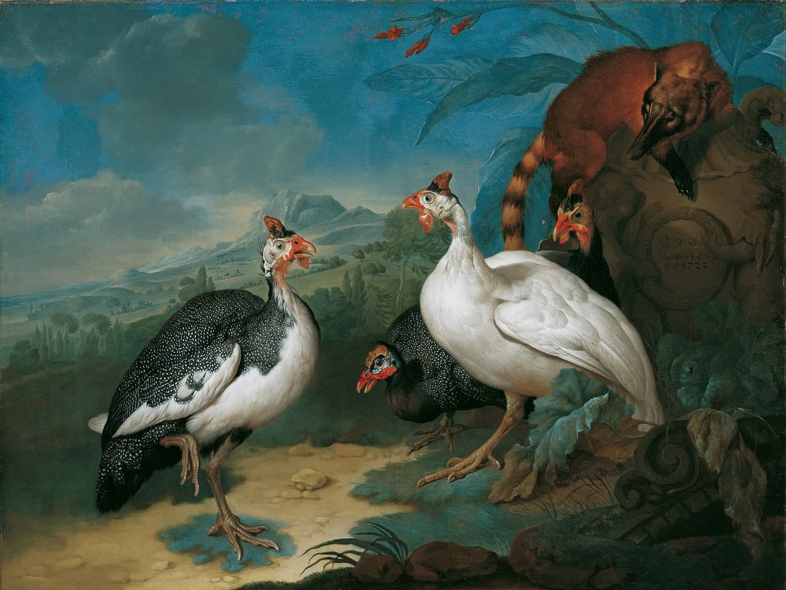 Parelhoenders en een neusbeer