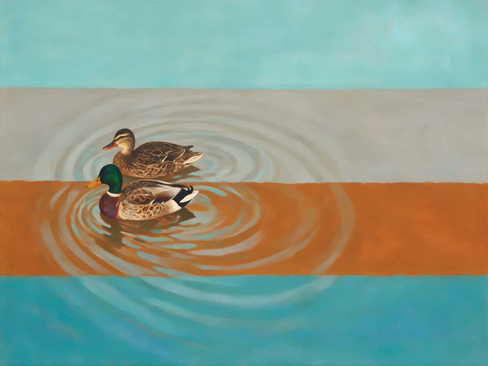 Twee eenden op rimpelend water