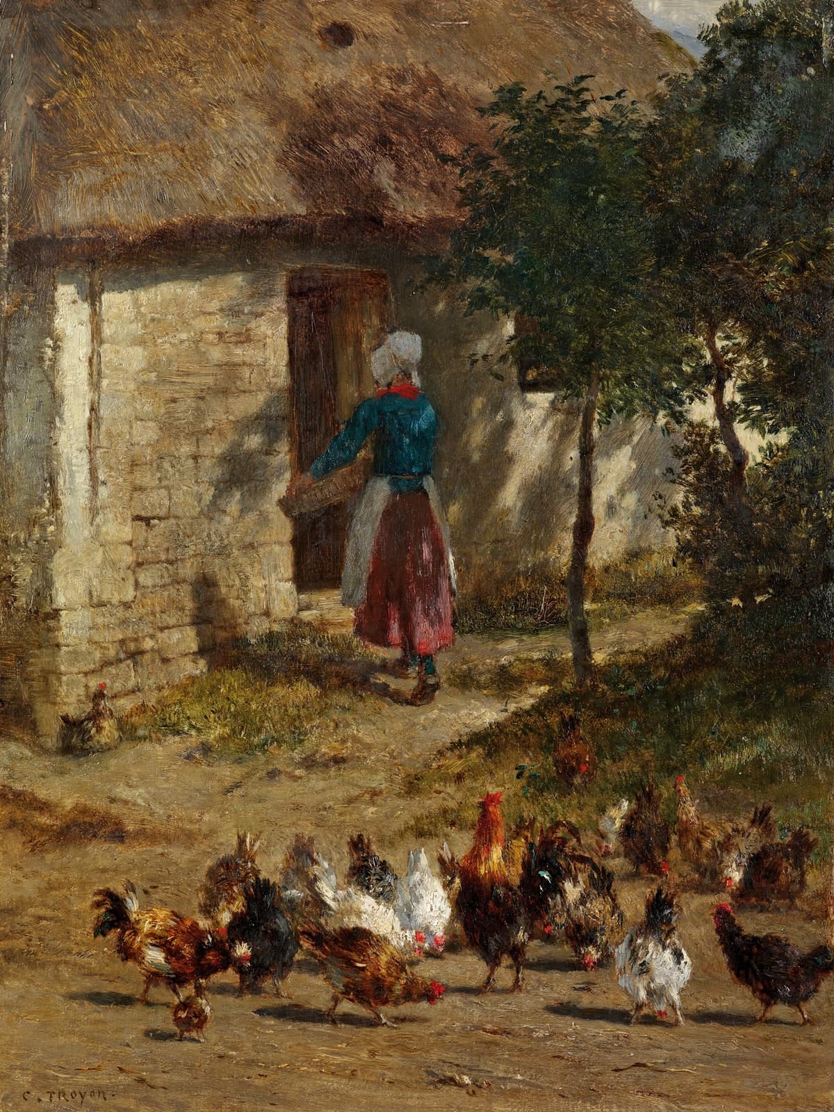 Kippen voor een boerderij