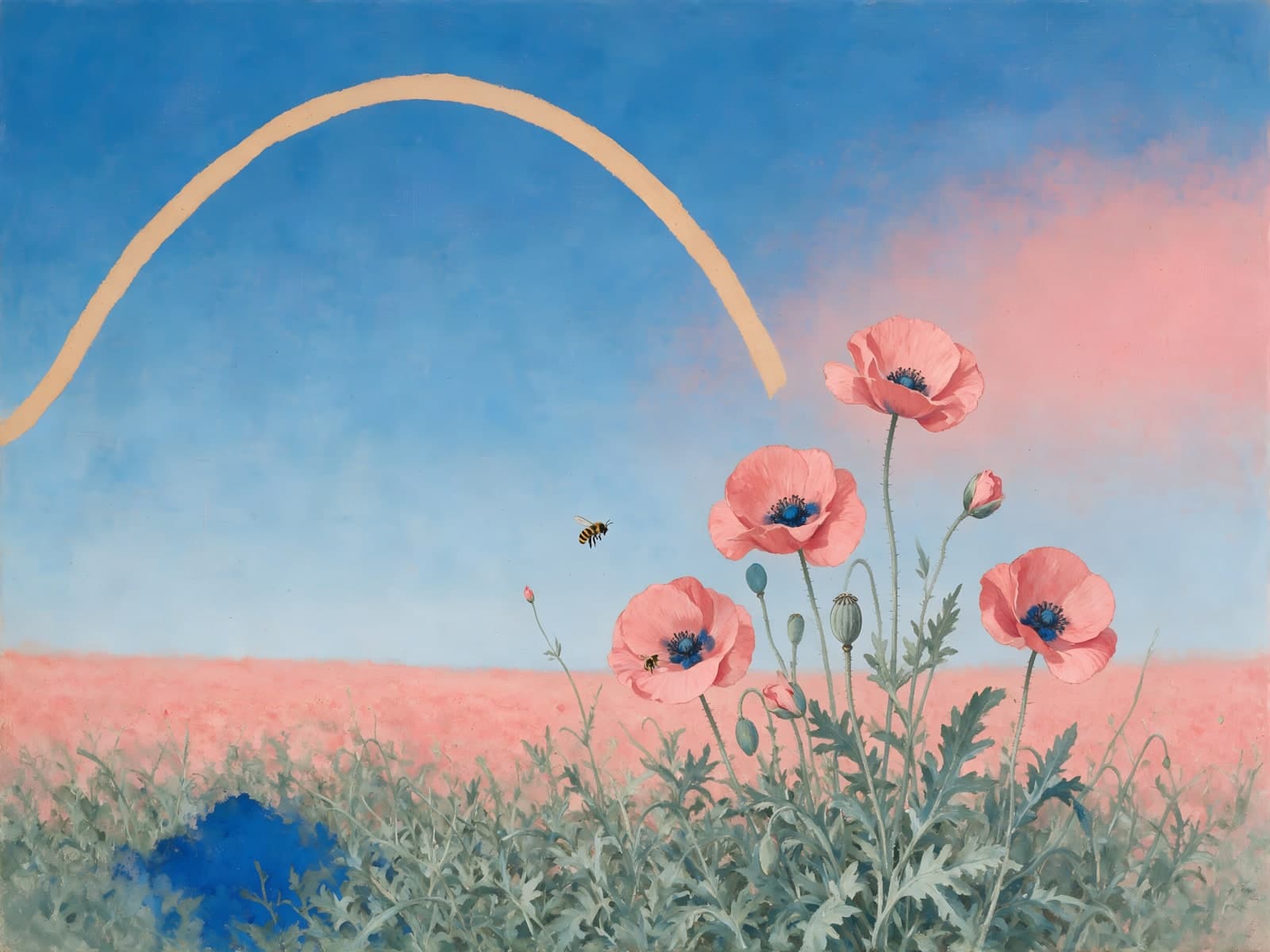 Roze papavers onder blauwe lucht met boog