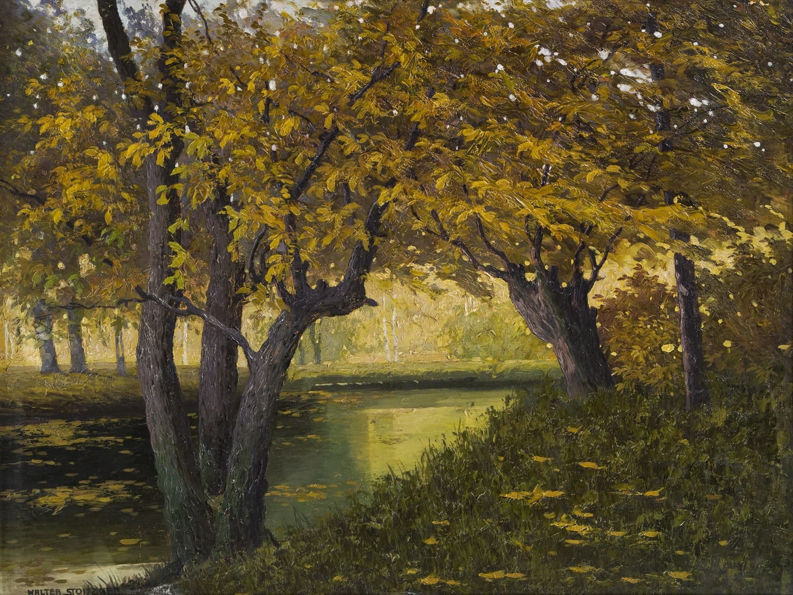 Herfstlandschap met knoestige bomen langs een riviertje