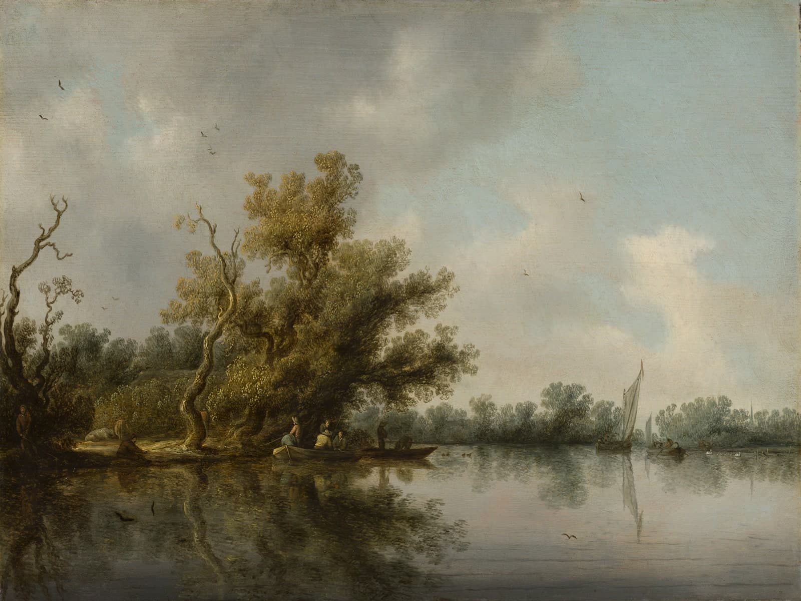 Rivieroever met oude bomen