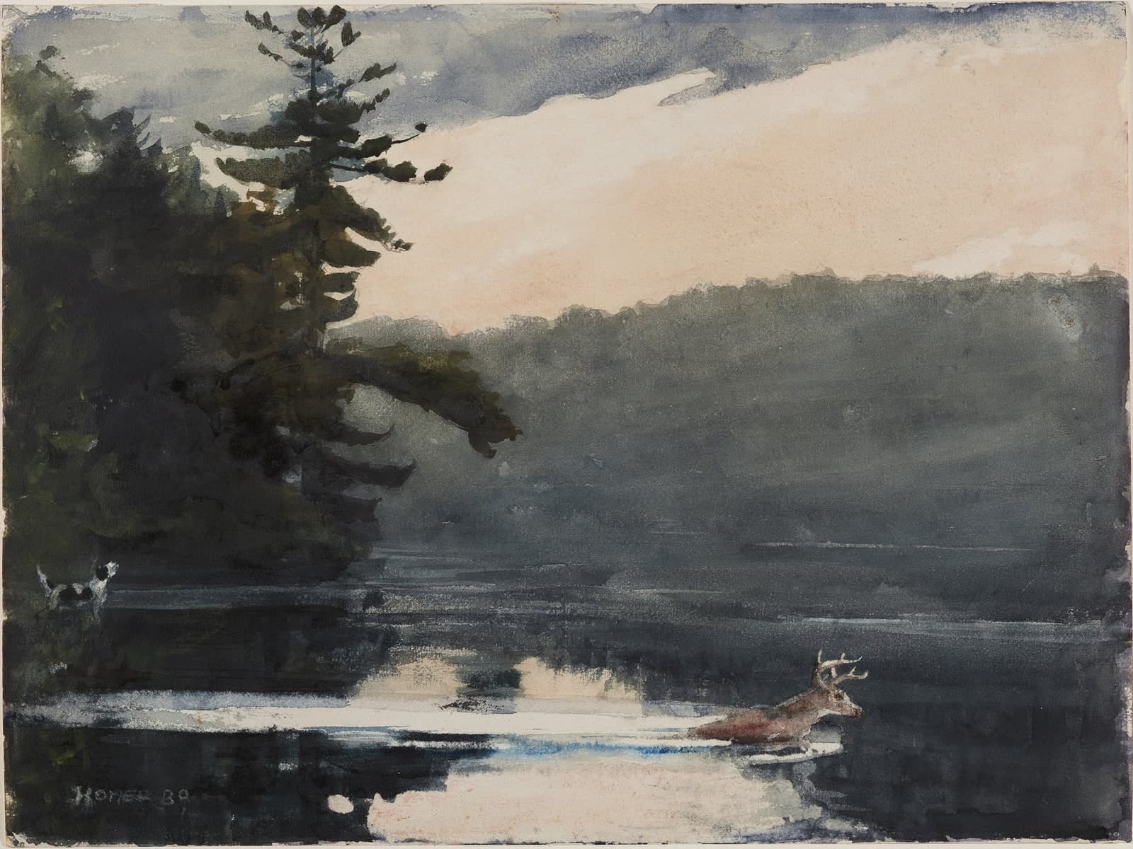 Herten in de Adirondacks