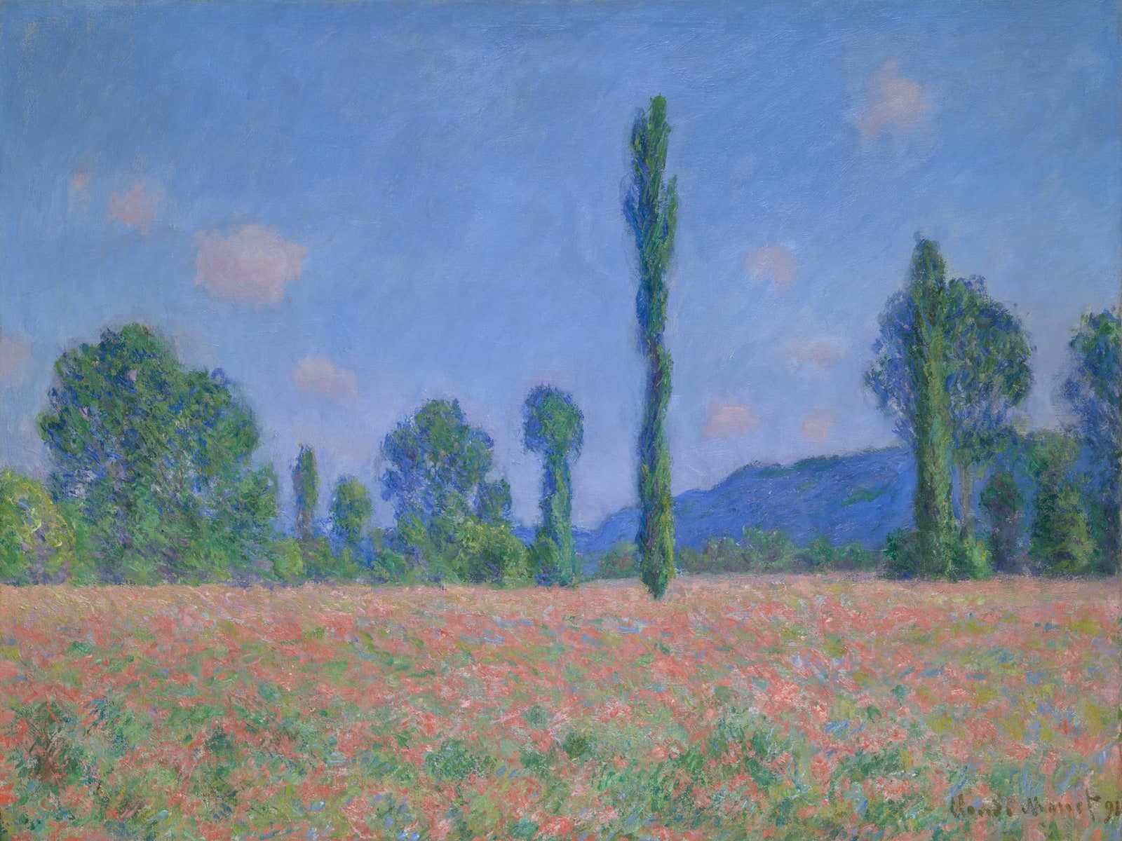 Papaverveld, Giverny