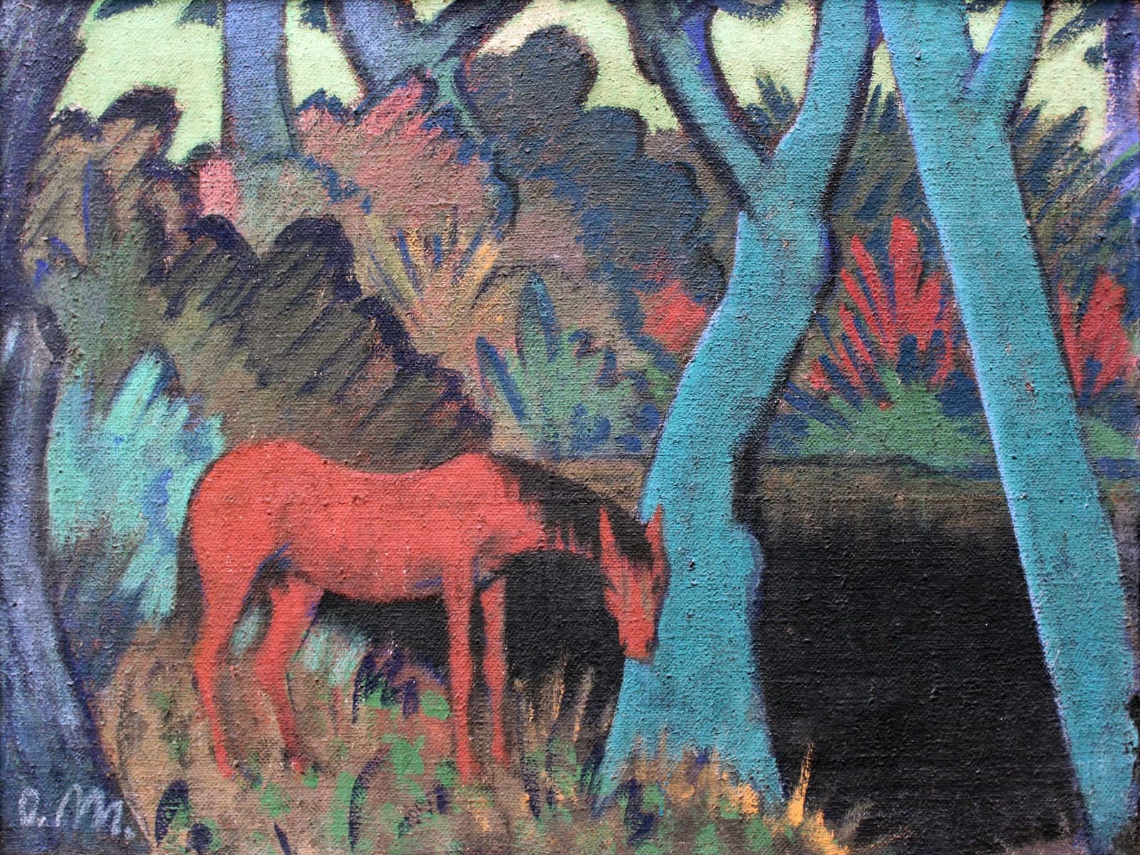 Paard bij zwart water