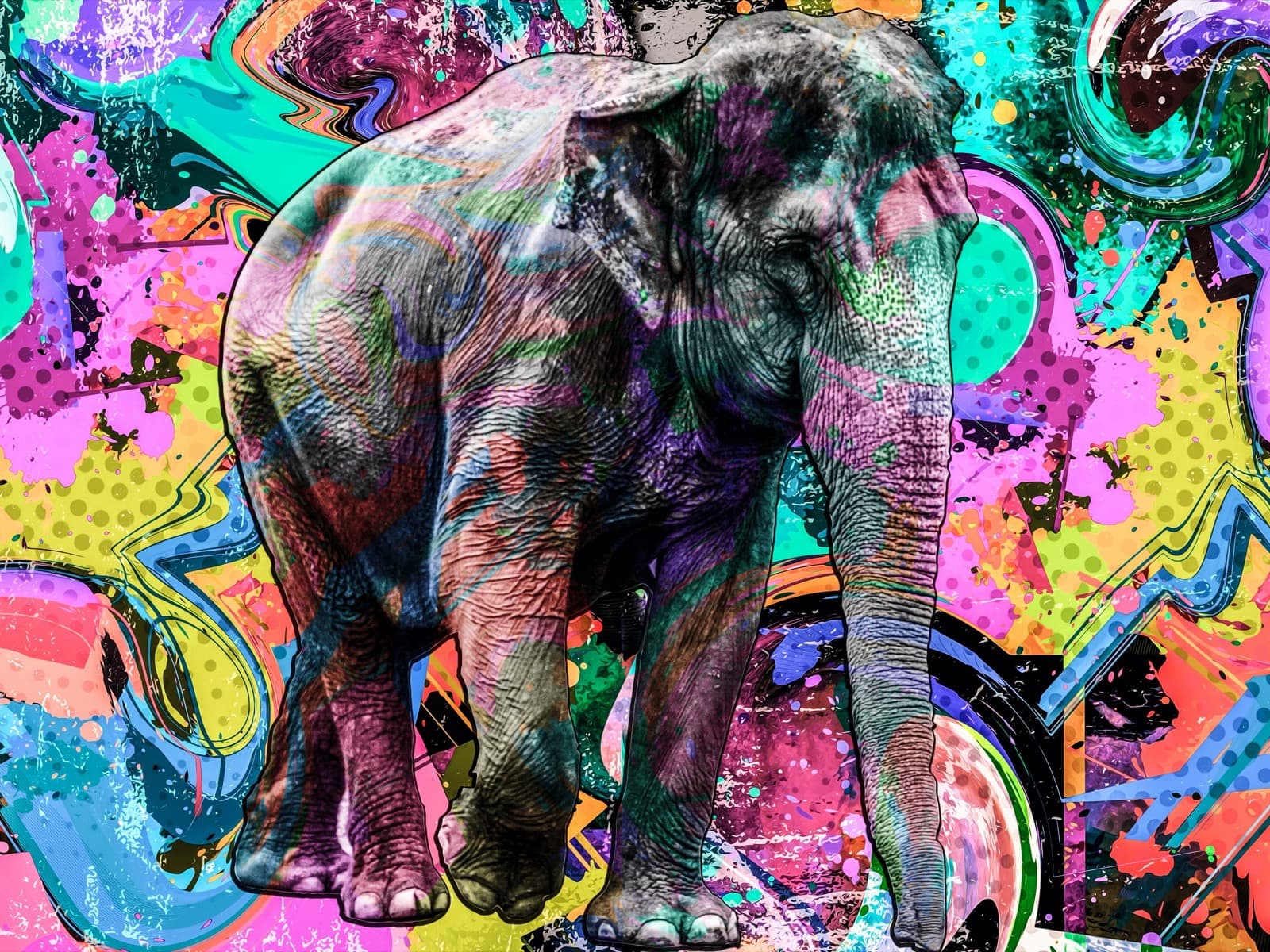Grijze olifant voor een graffitimuur vol kleur