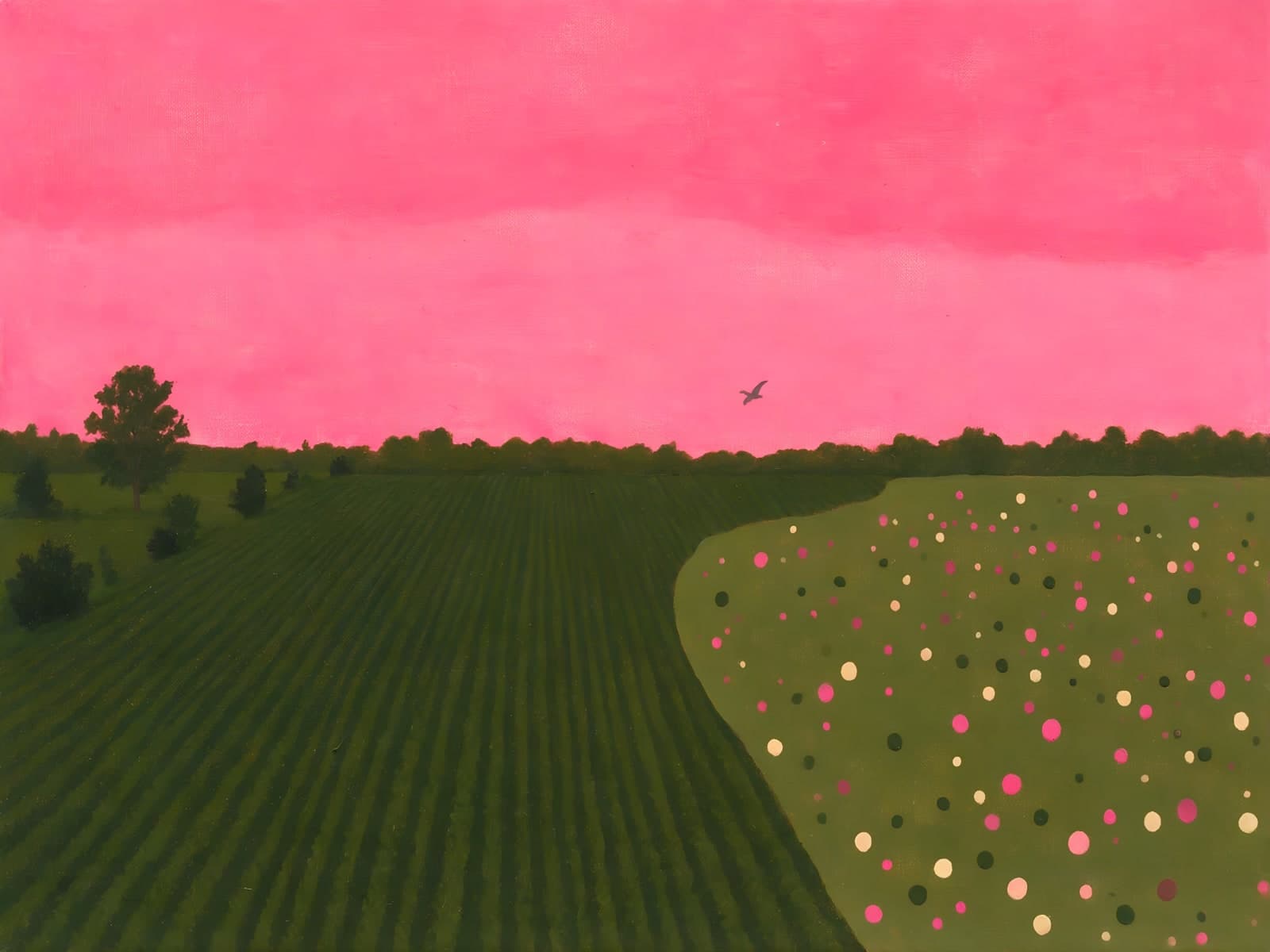 Roze lucht boven groene akkers en bloemen