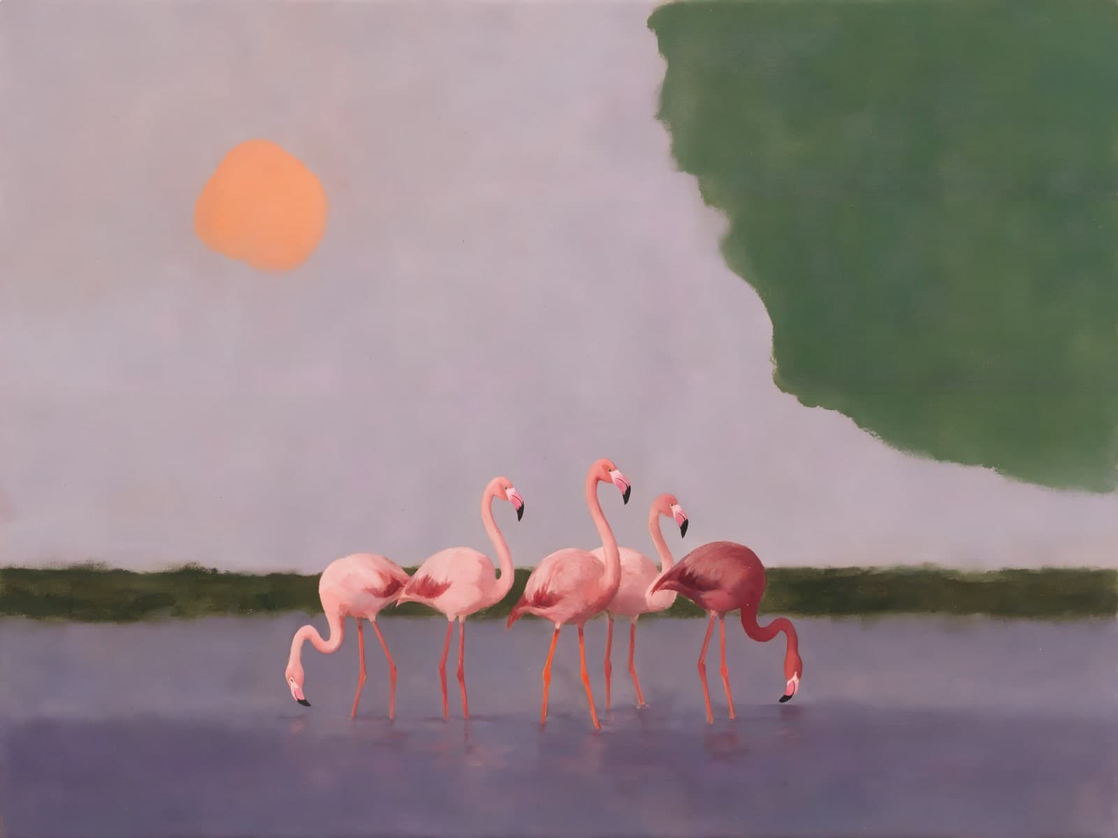 Roze flamingo's bij ondergaande zon