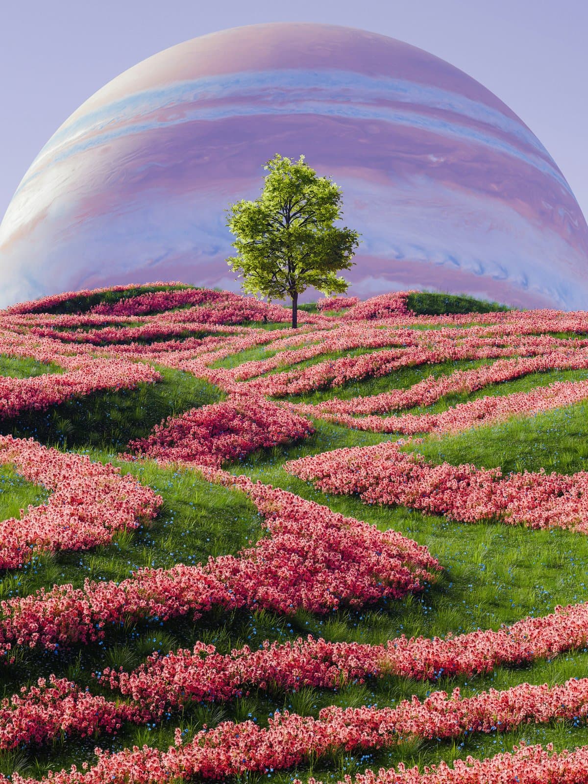 Grote paarse planeet boven roze bloemenrijen