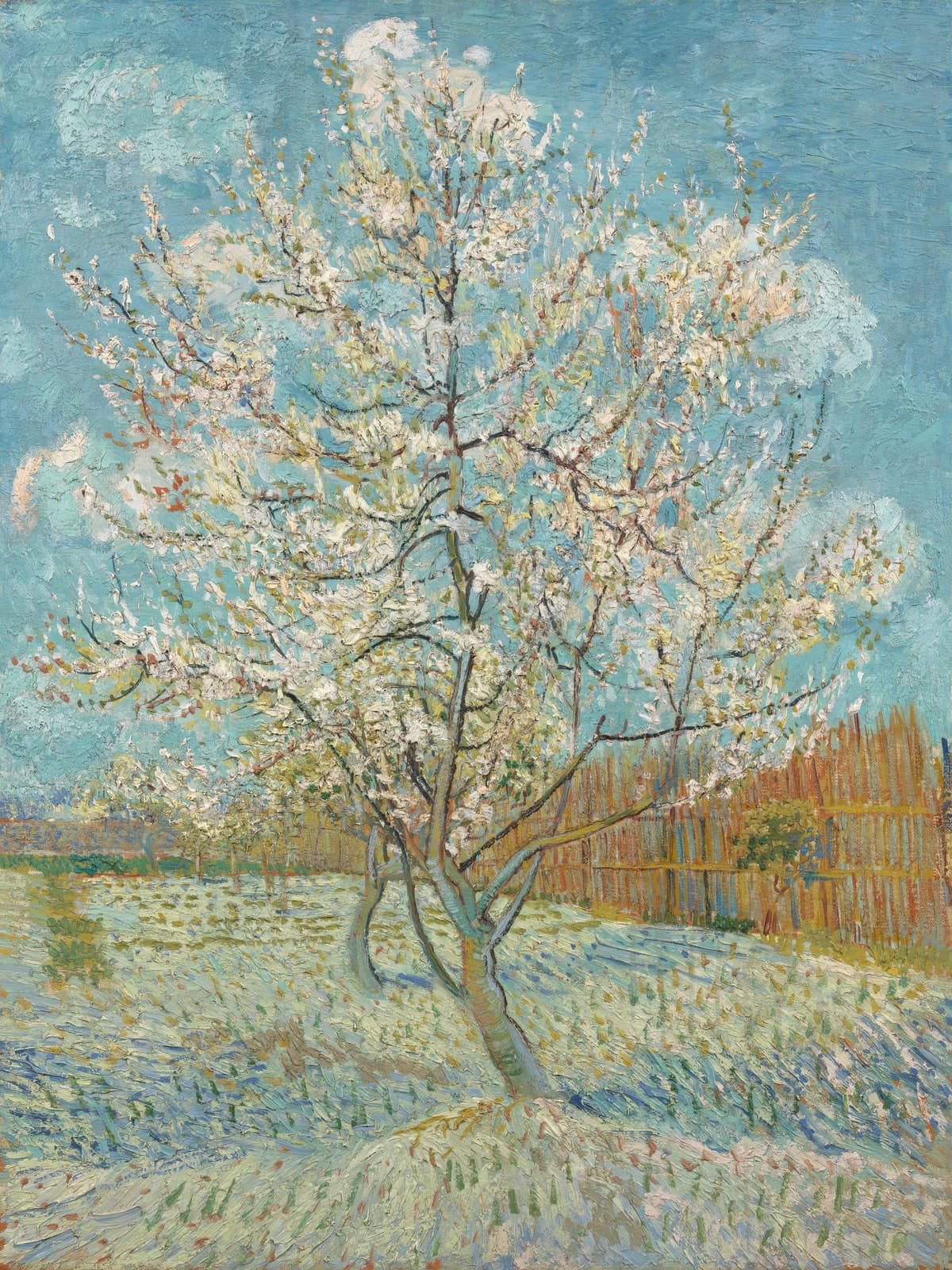 De roze perzikboom