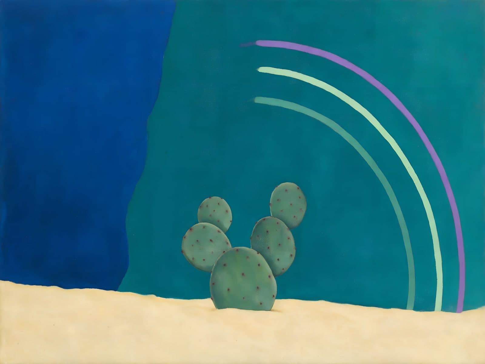 Cactus met gekleurde bogen op blauwgroen