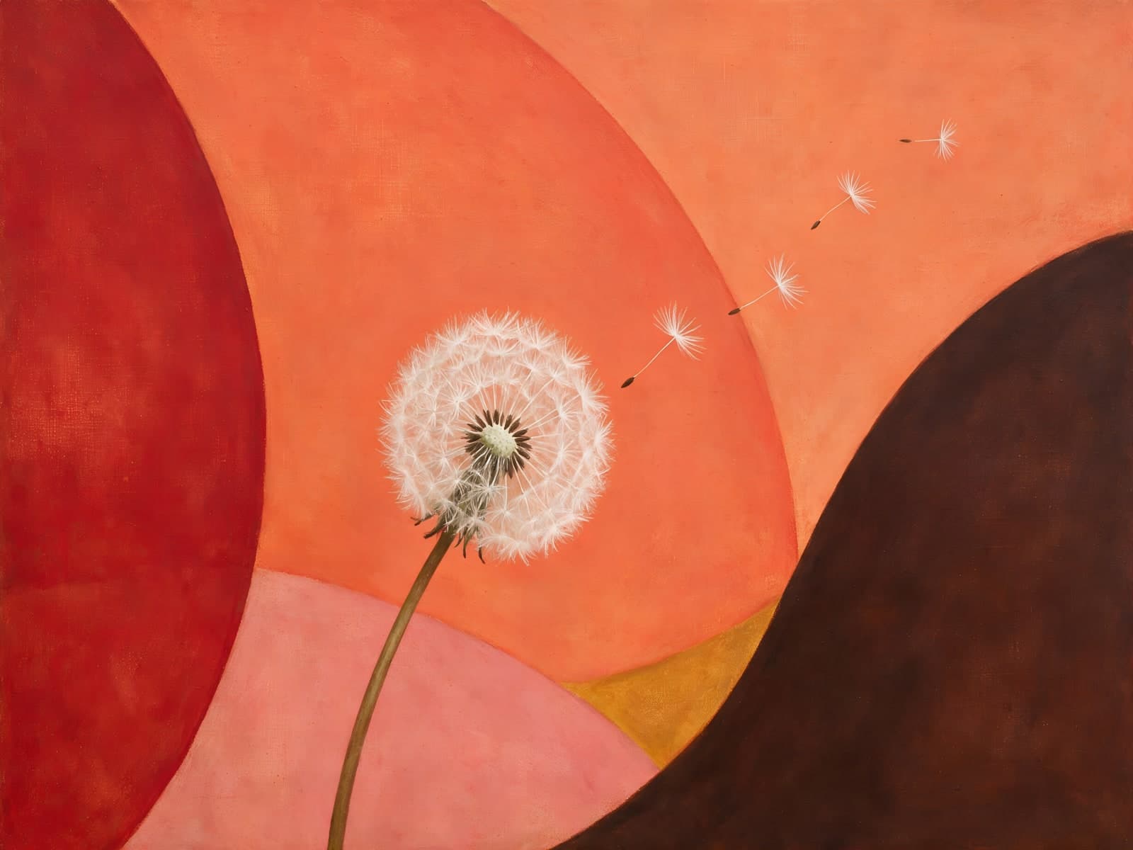 Paardenbloem in oranje en rode golven