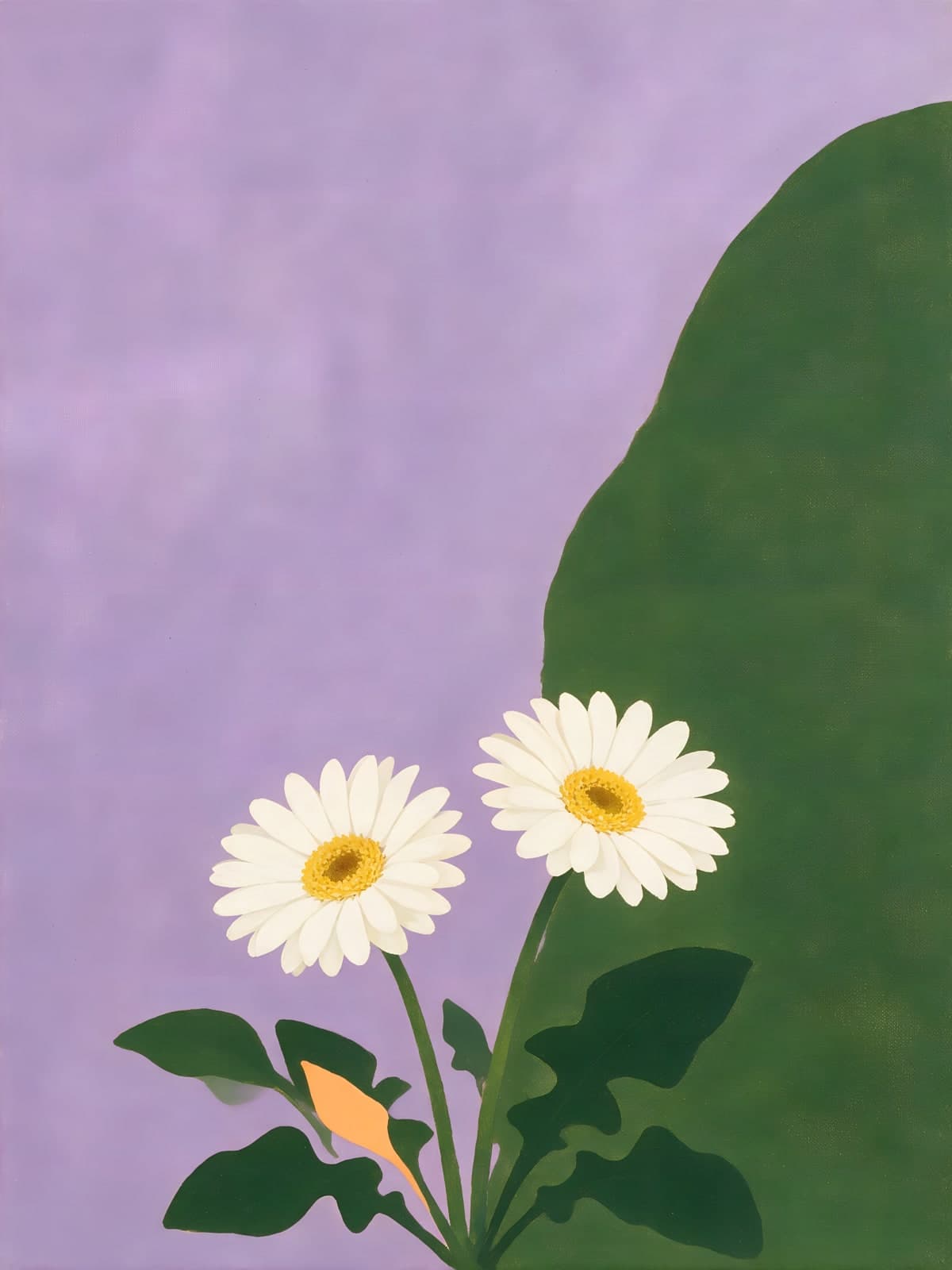Twee witte margrieten tegen lila vlak