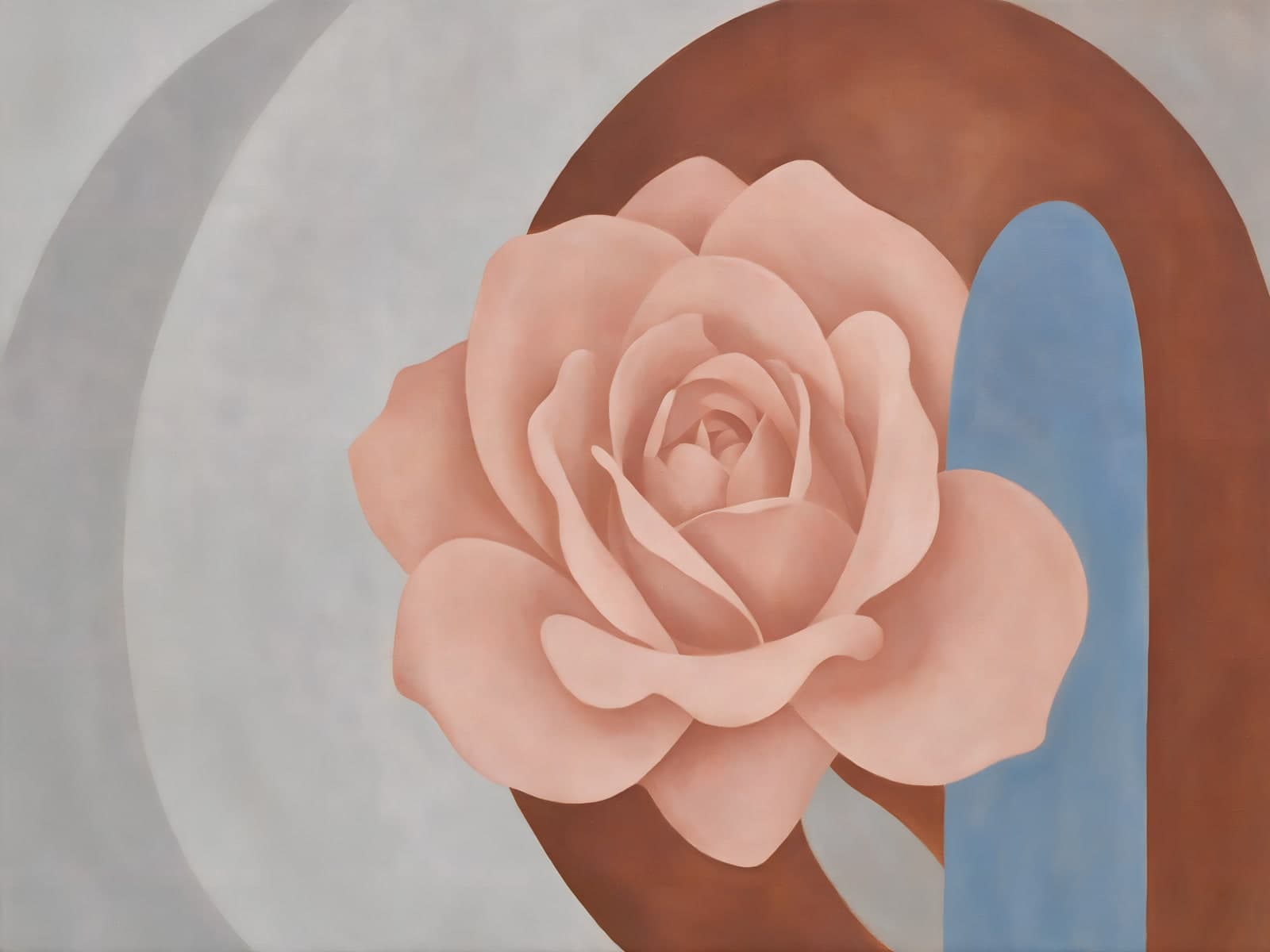 Roze roos voor bruine en grijze bogen