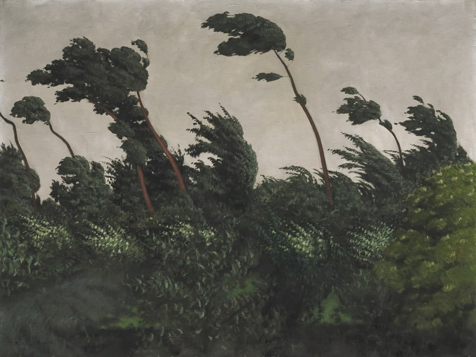 De wind