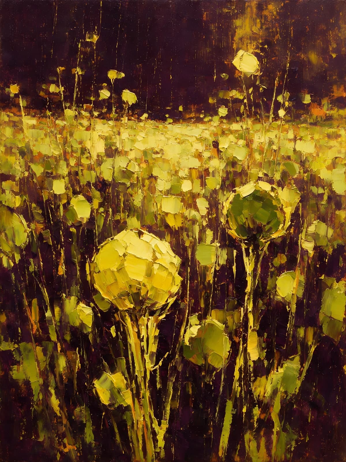 Gele bloemhoofden in een donker veld
