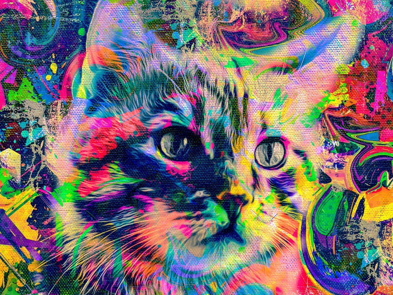 Kattenkop met groene ogen in neonlijnen