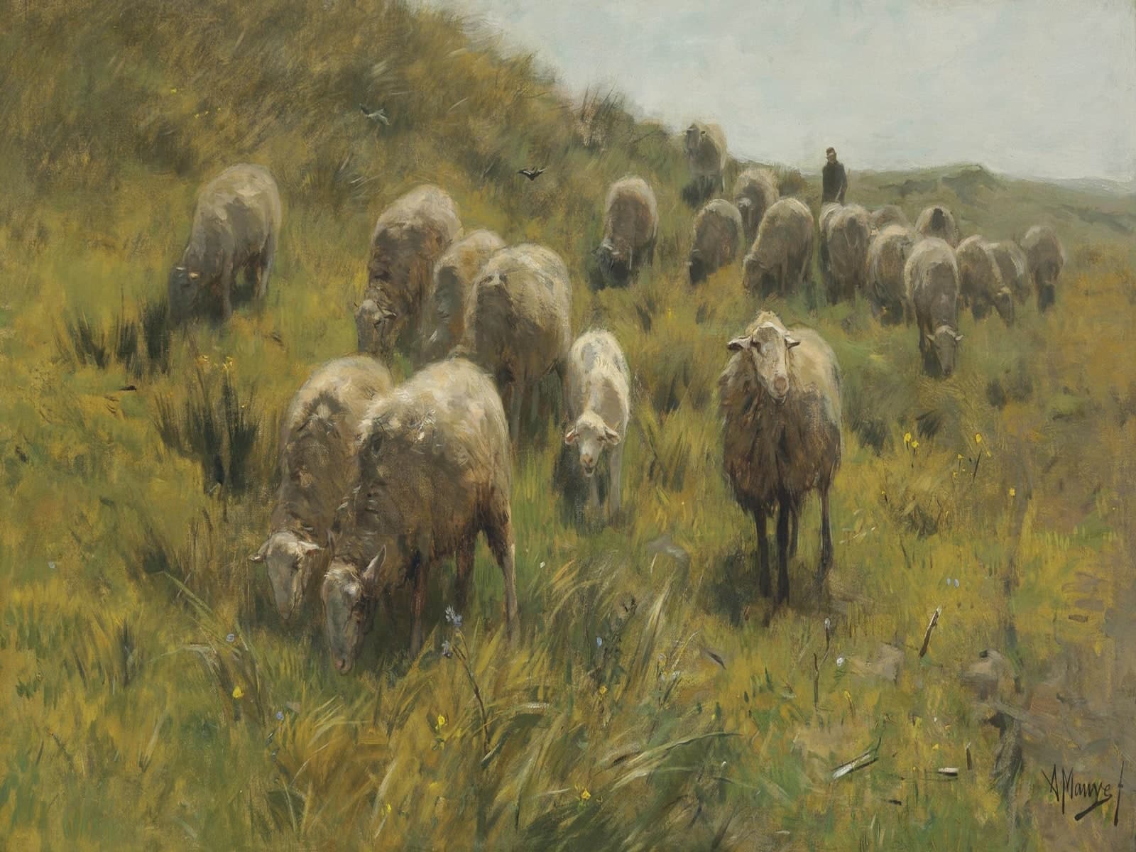 Op de duinen