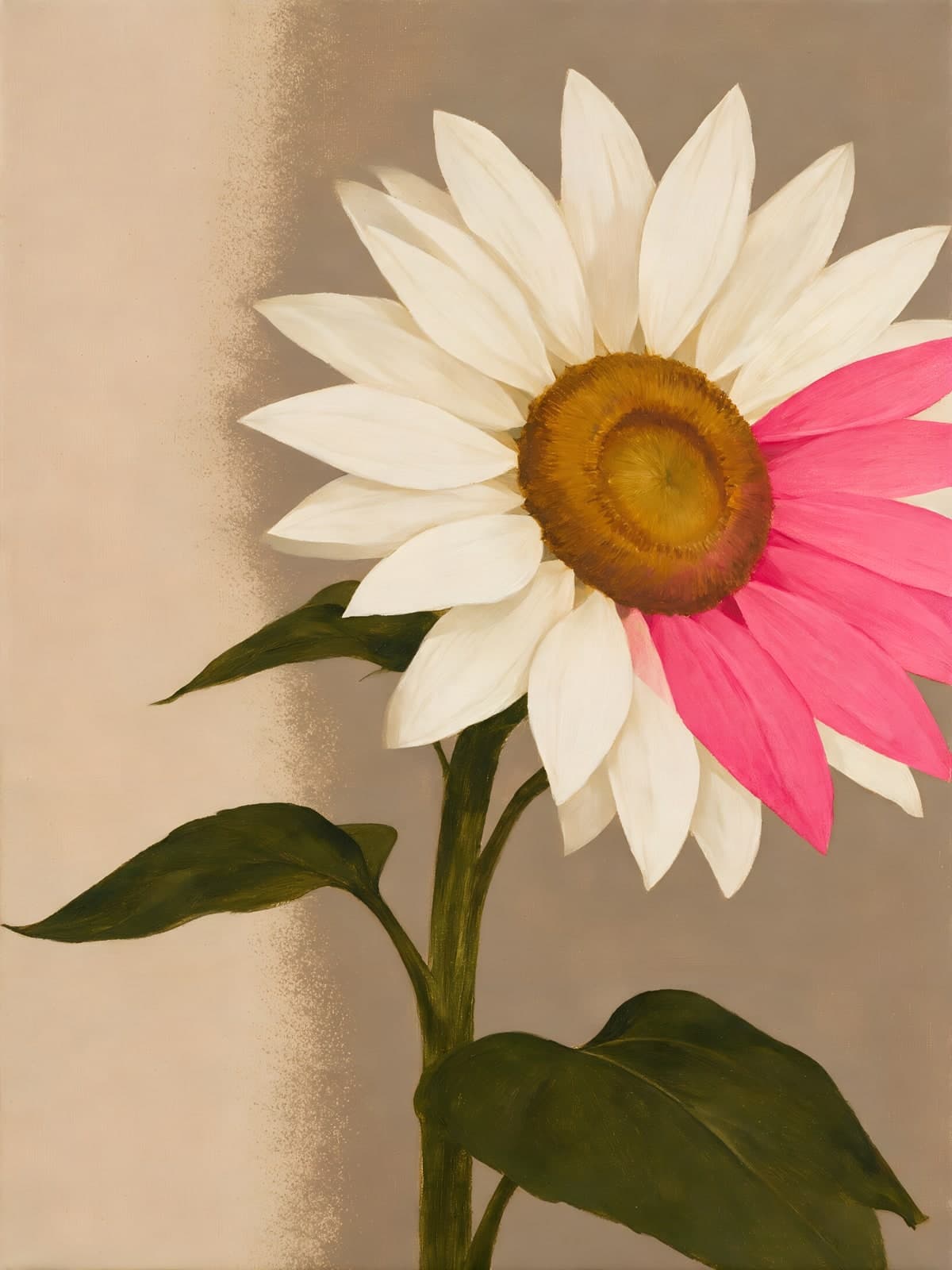 Witte bloem met één roze blad