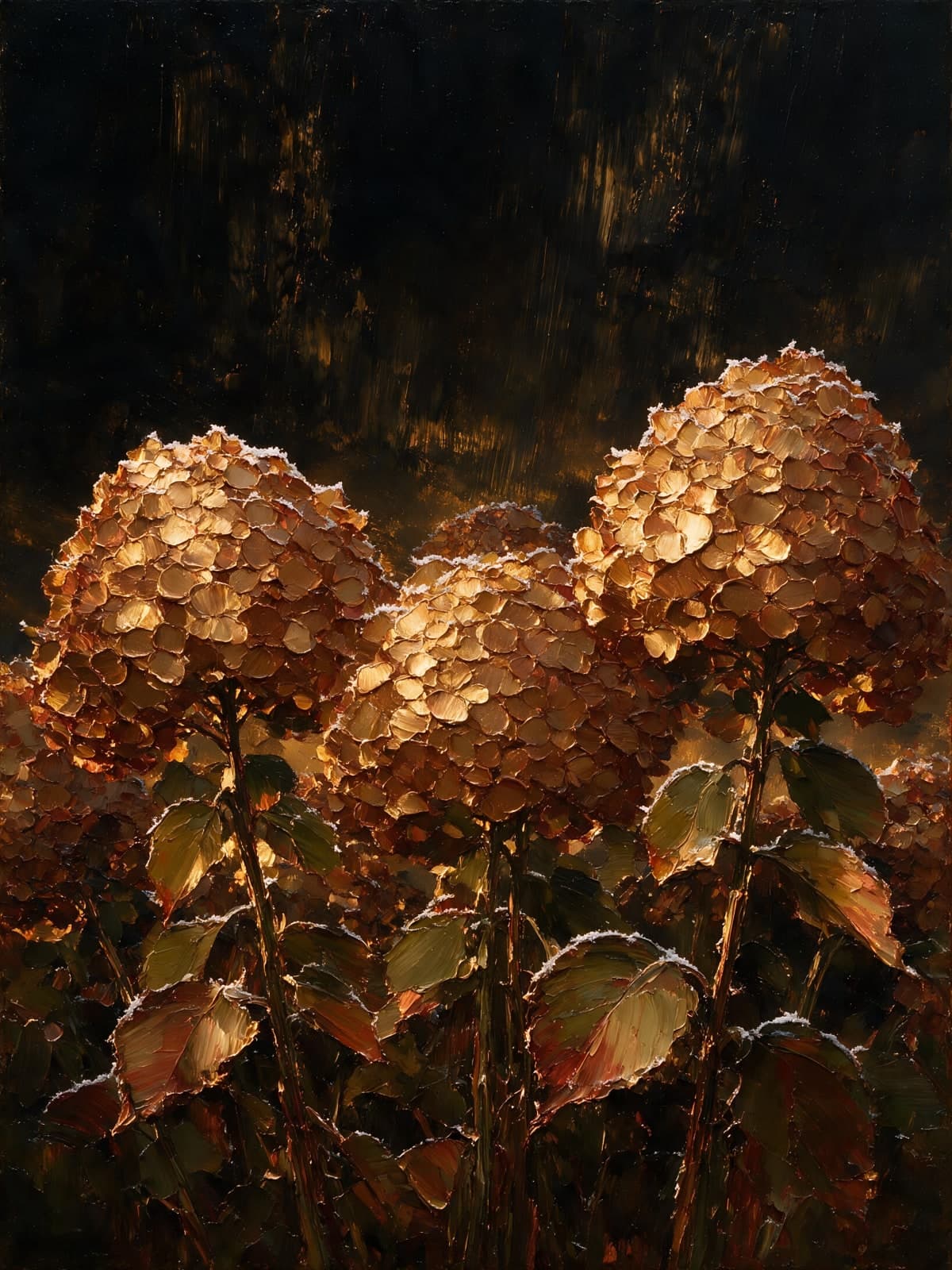 Koperkleurige hortensia's in donker licht
